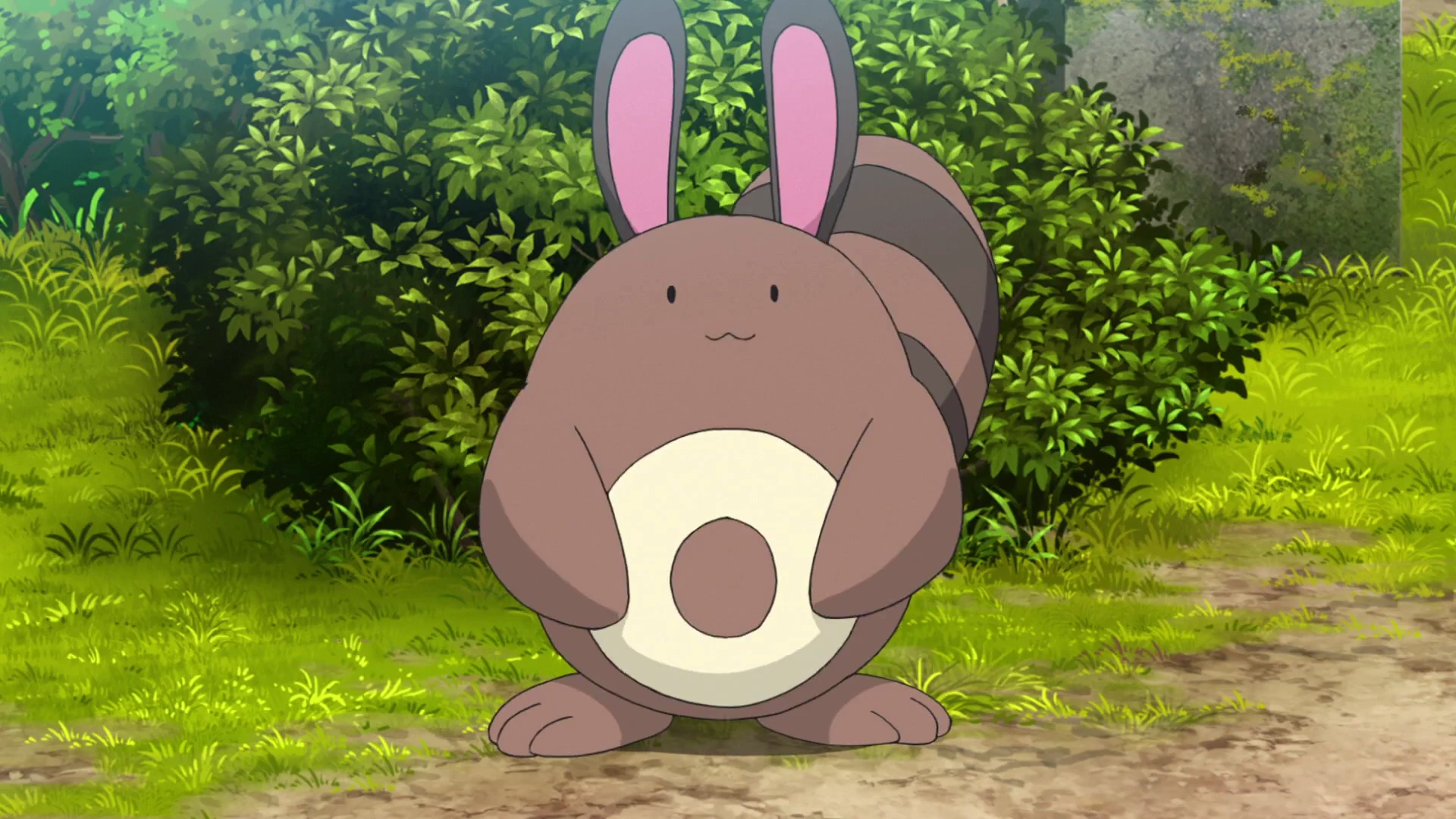 15-facts-about-sentret
