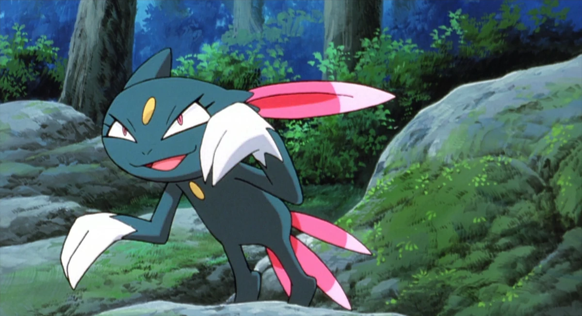 15-facts-about-sneasel