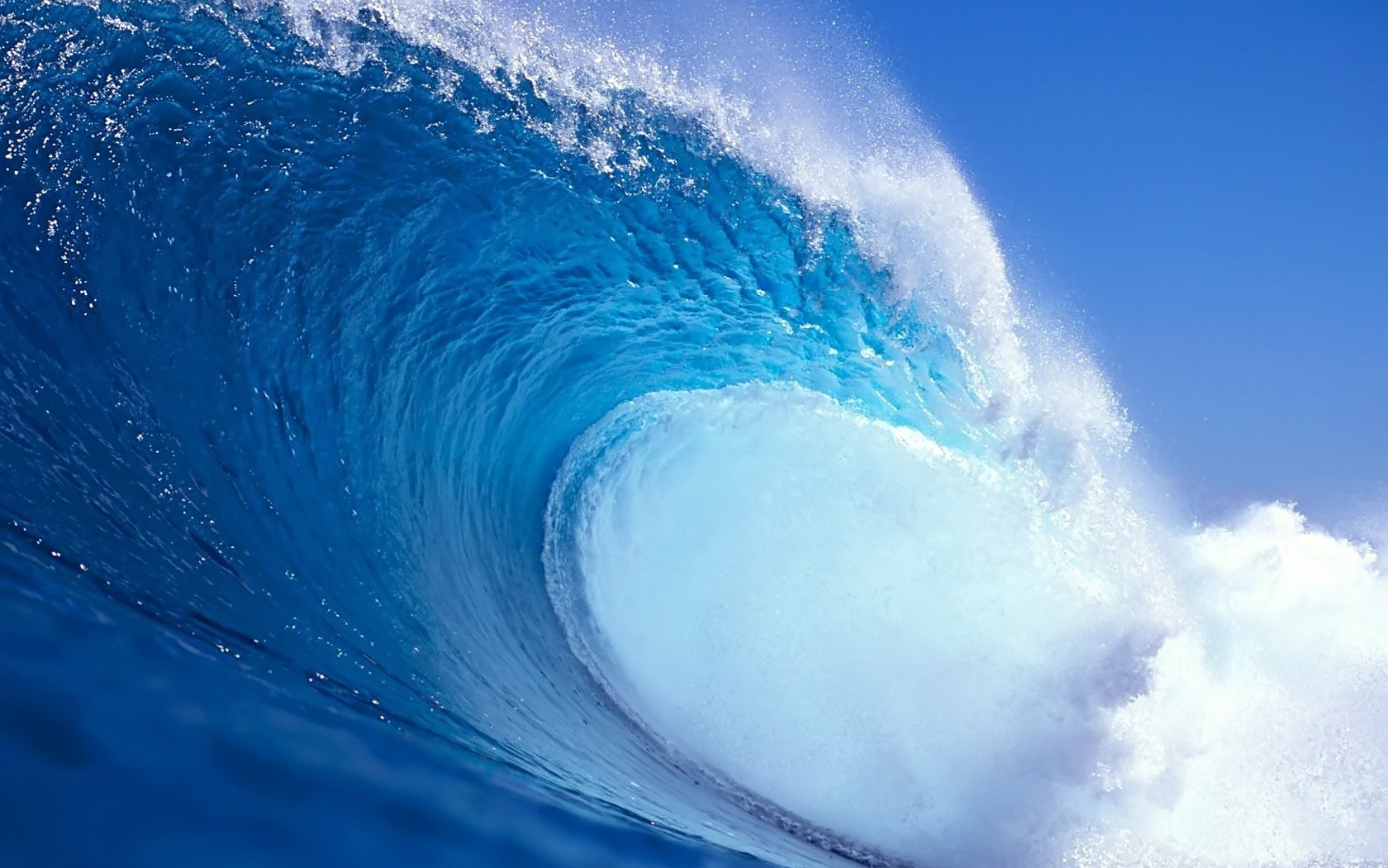 15-facts-about-wave