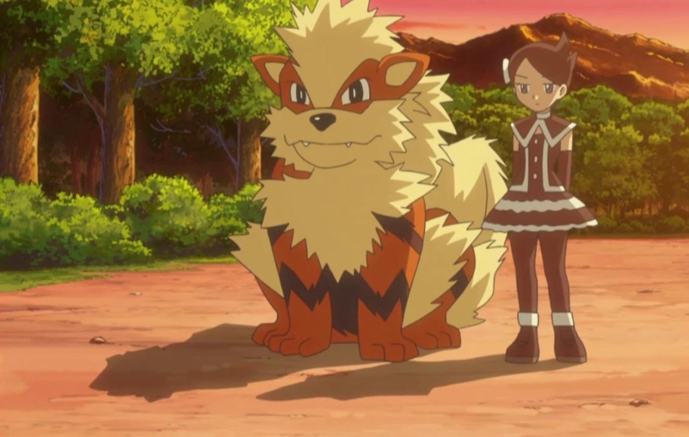 16-facts-about-arcanine