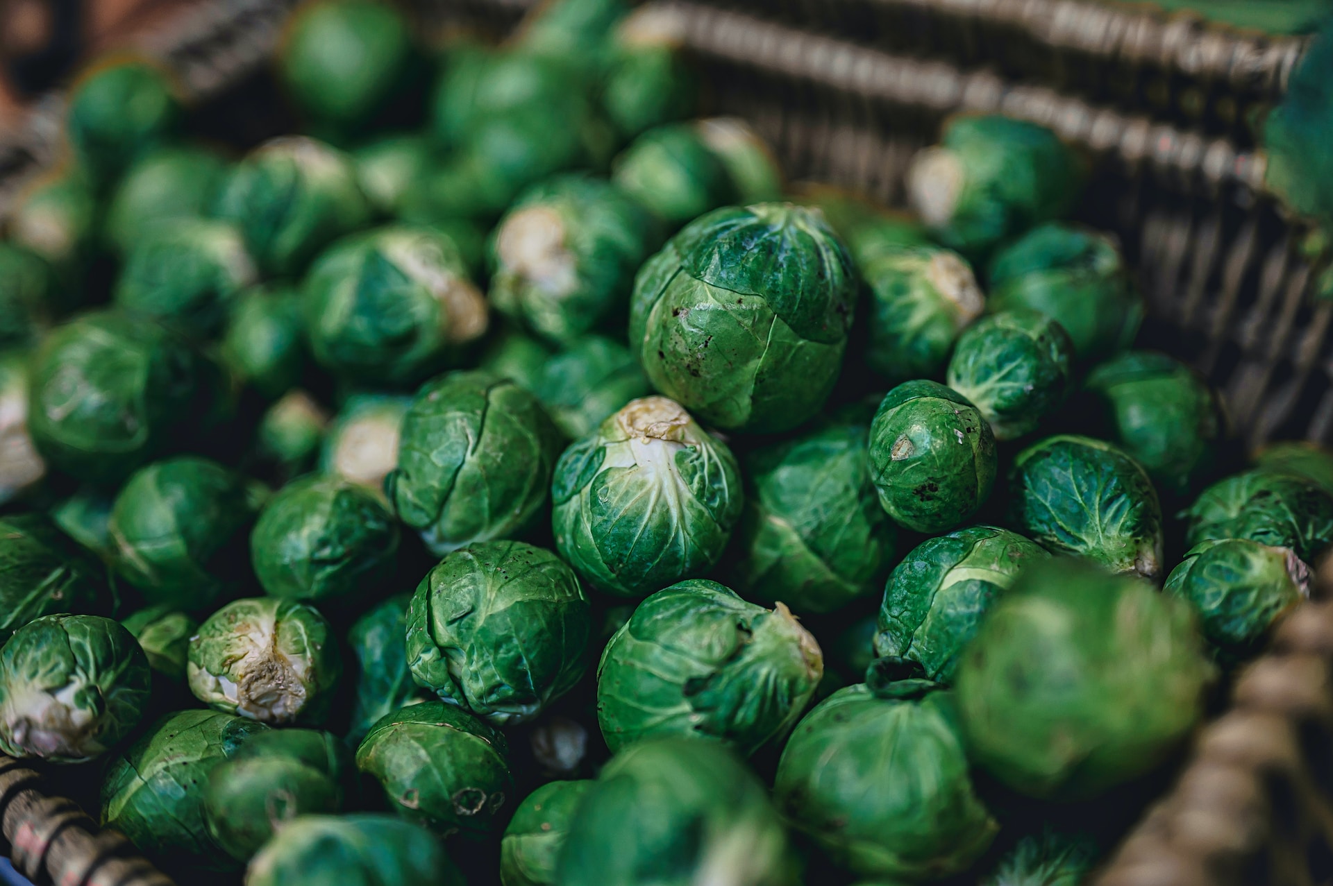 16-facts-about-brussels-sprouts