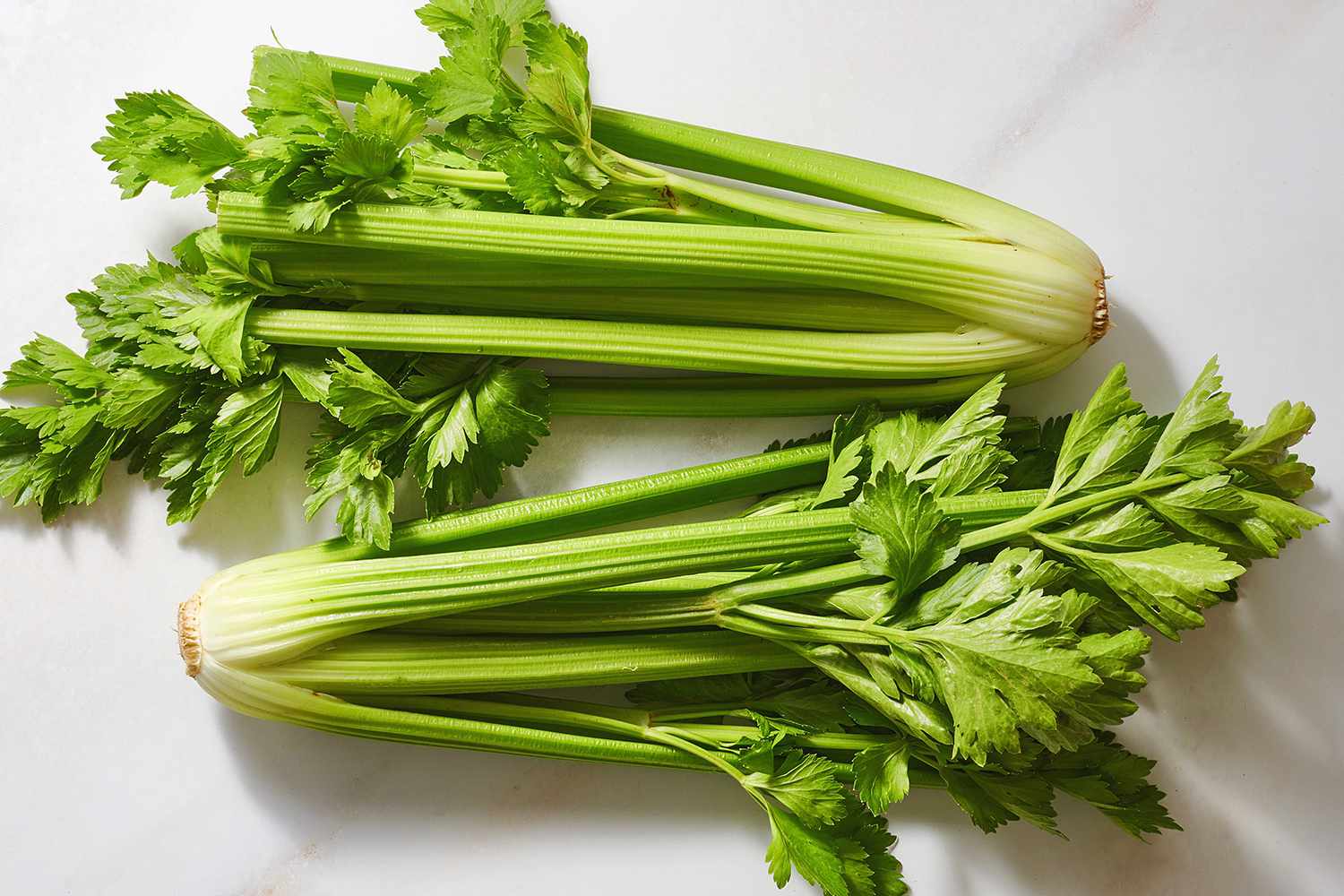 16-facts-about-celery