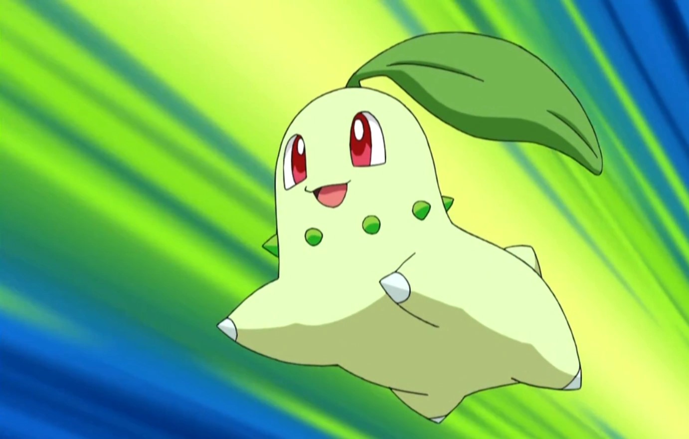 What animal is chikorita