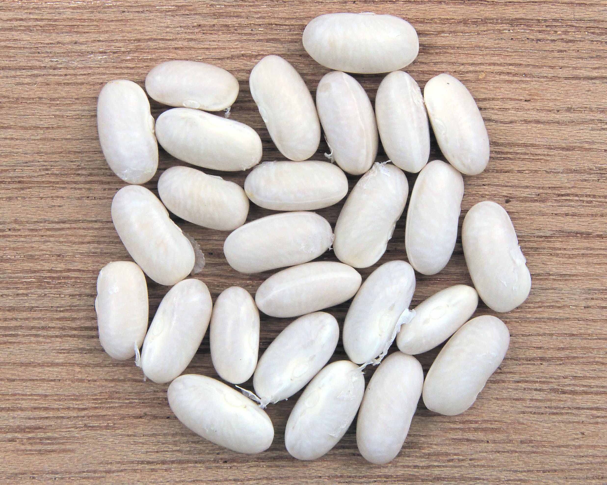 16-facts-about-haricot-beans