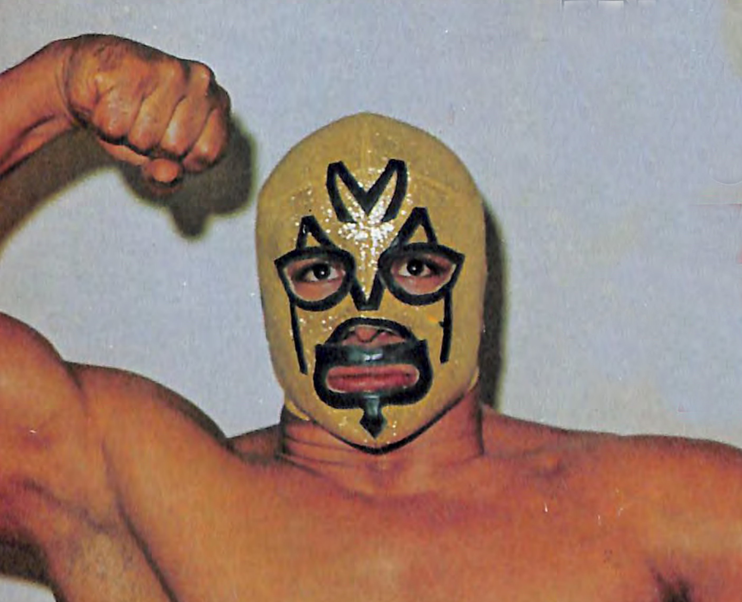 16-facts-about-mil-mascaras