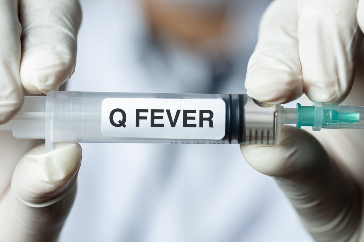 16-facts-about-q-fever