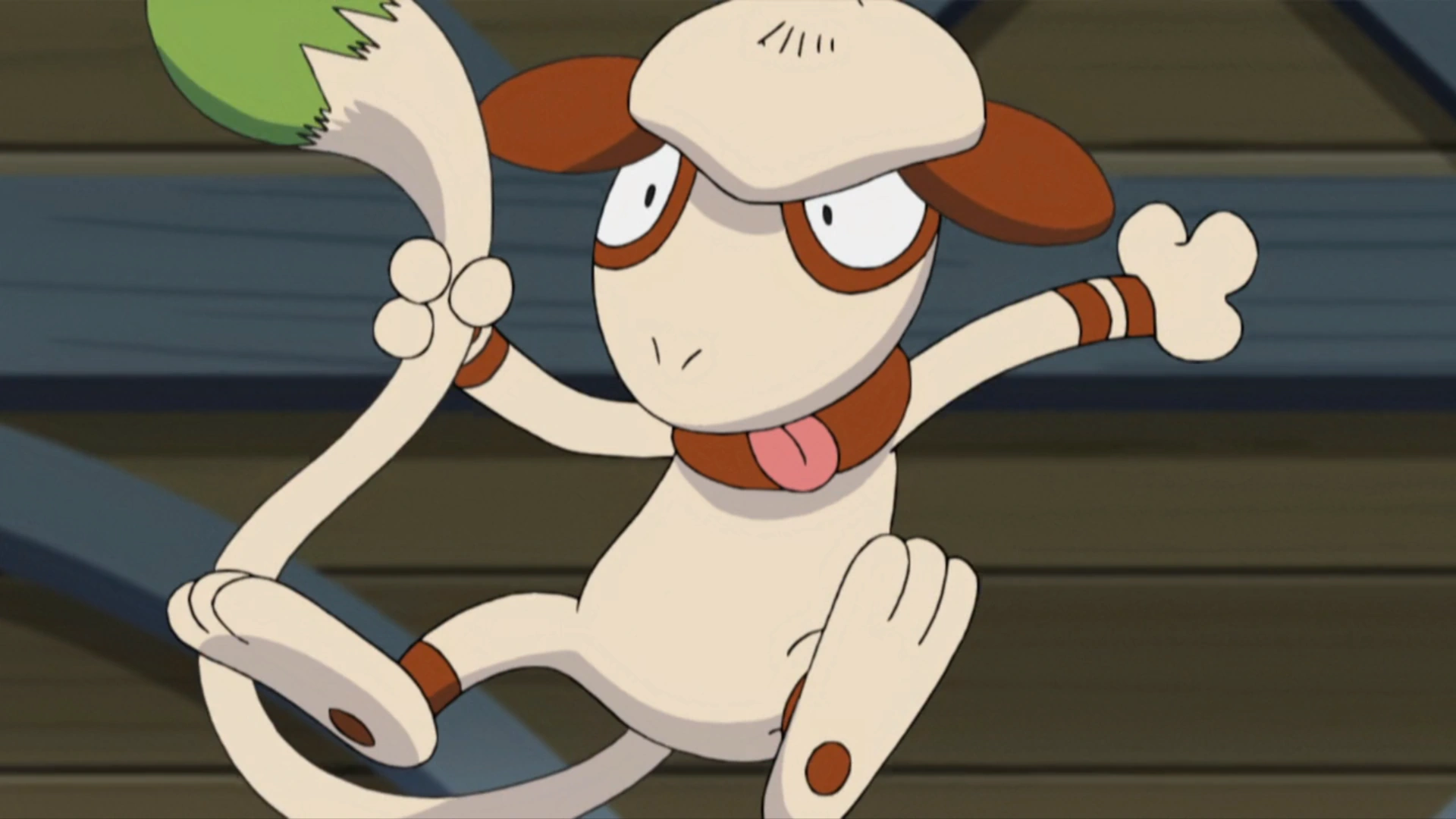 16-facts-about-smeargle