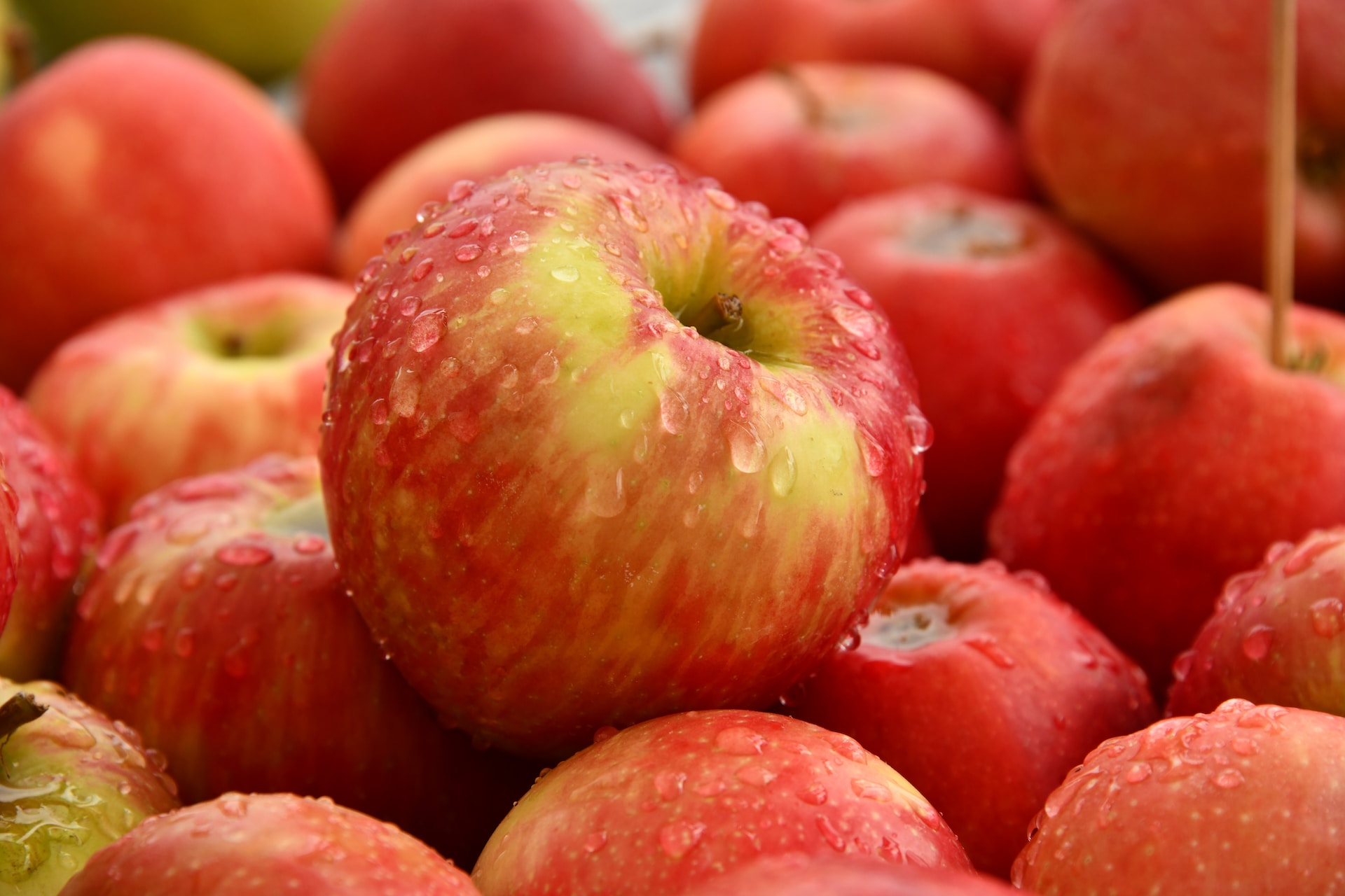 17-facts-about-apples