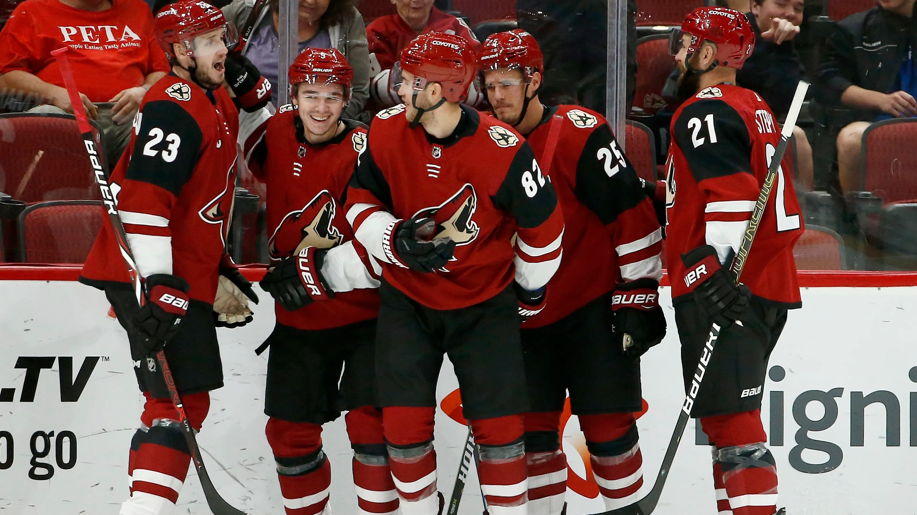 17-facts-about-arizona-coyotes