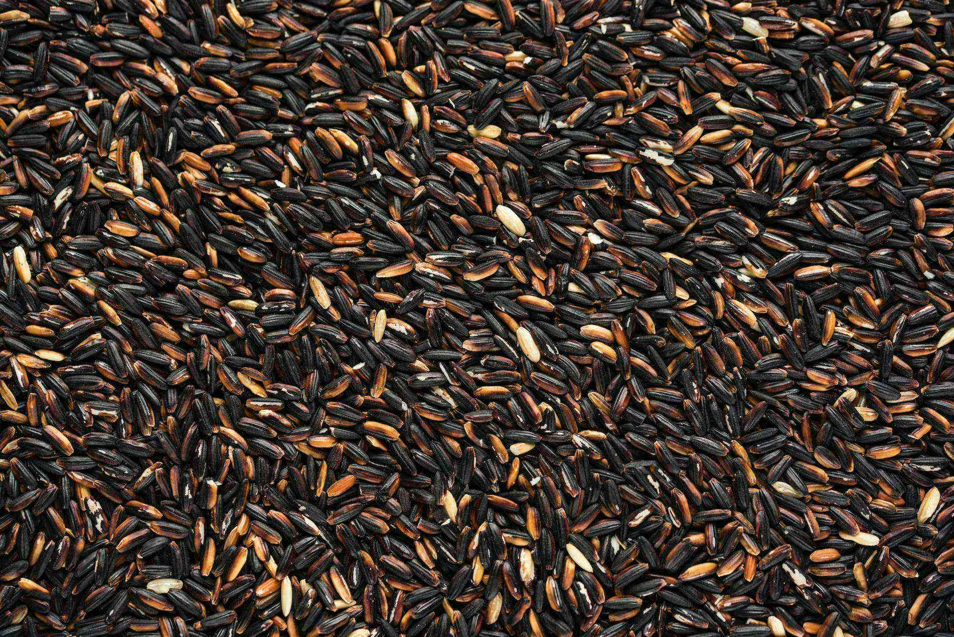 17-facts-about-black-rice