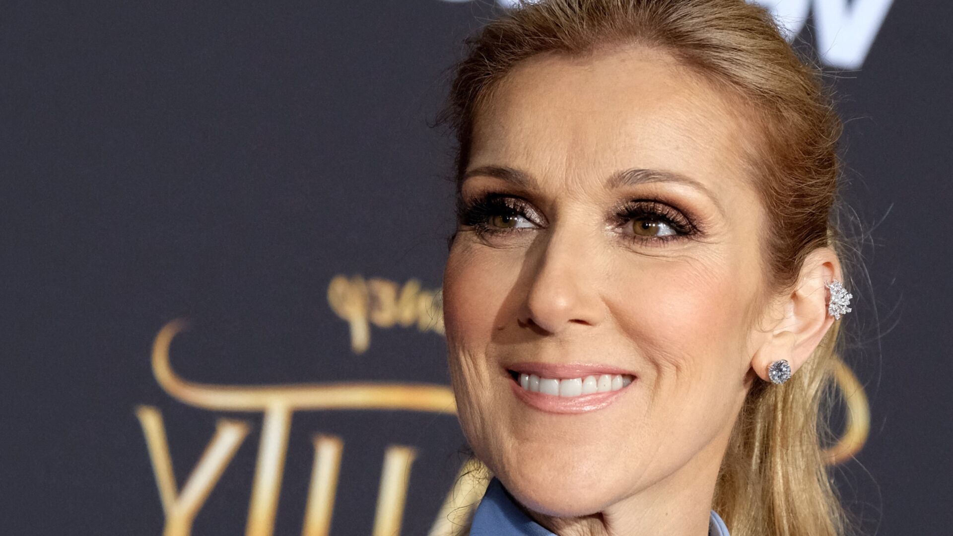 17 Facts About Celine Dion - Facts.net