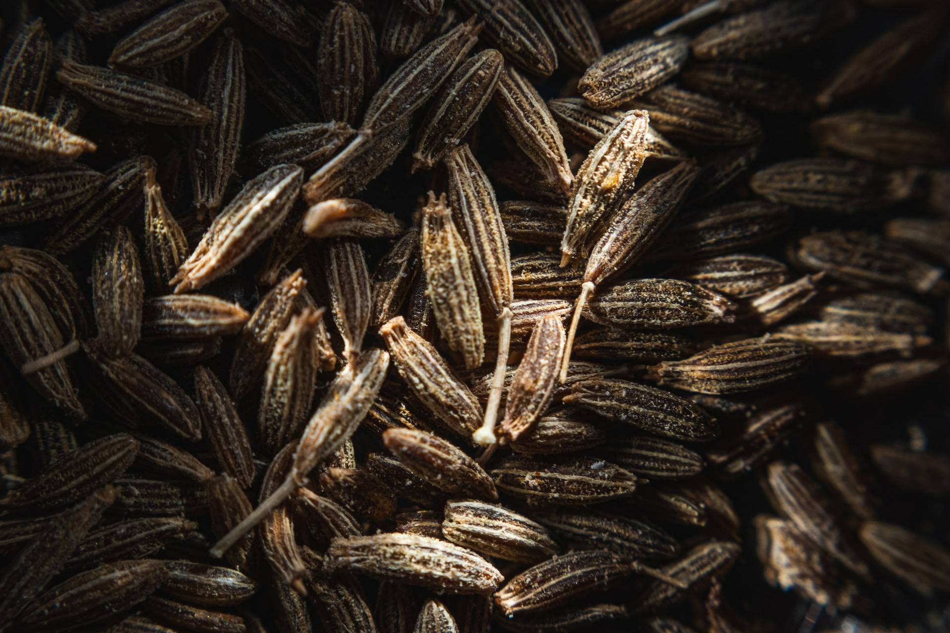 17-facts-about-cumin