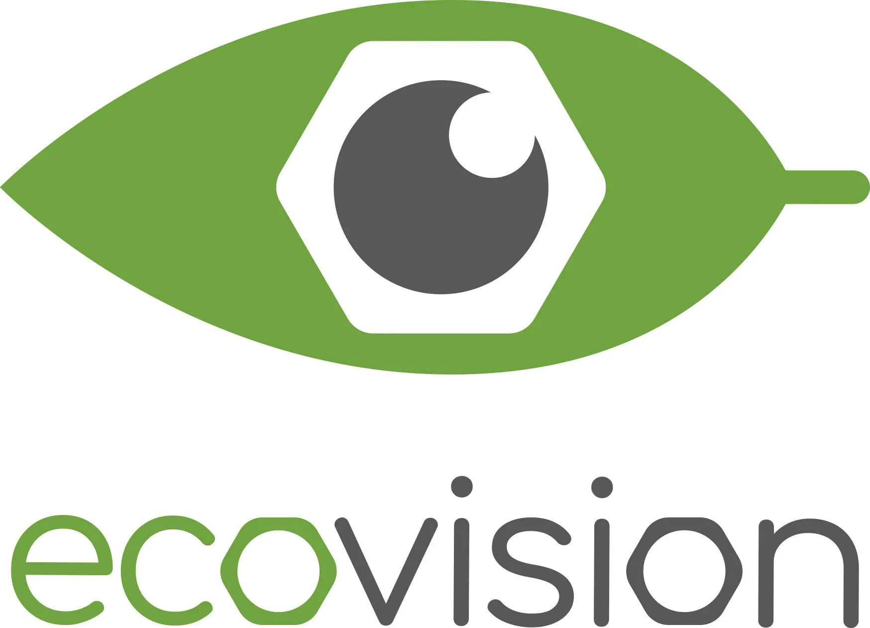 17-facts-about-ecovision