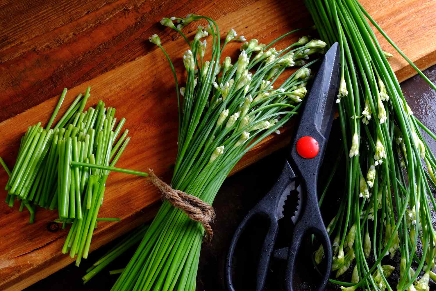 17-facts-about-garlic-chives