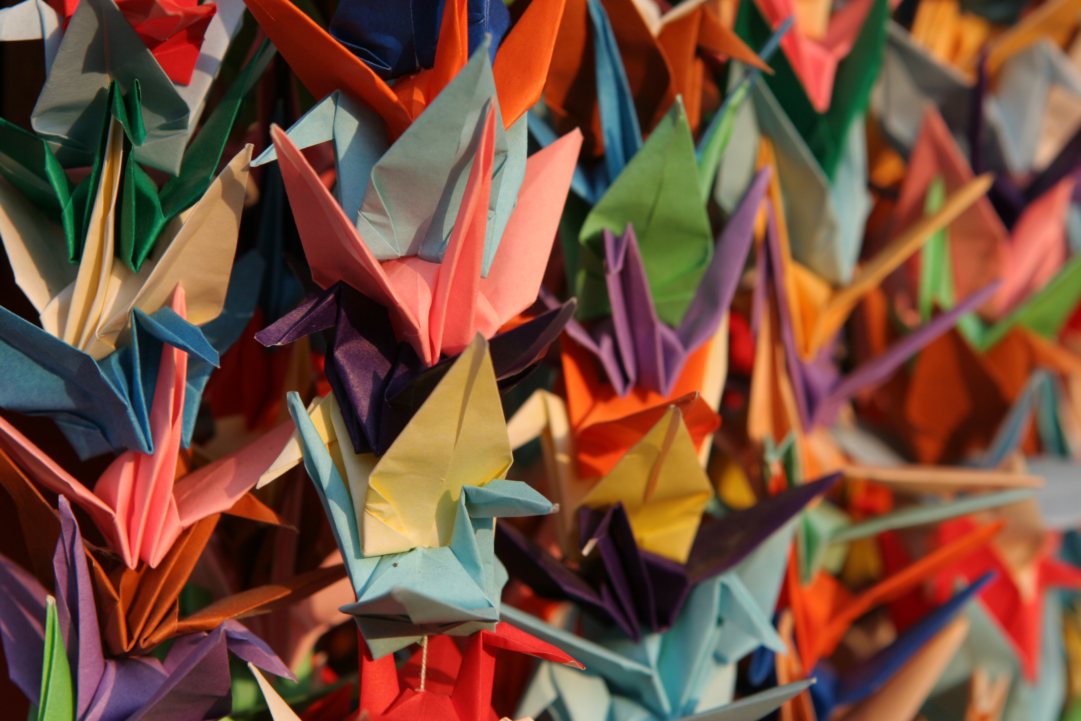 17-facts-about-international-origami-festival