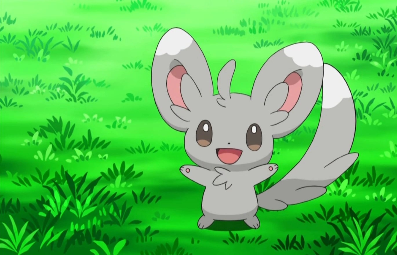 17-facts-about-minccino
