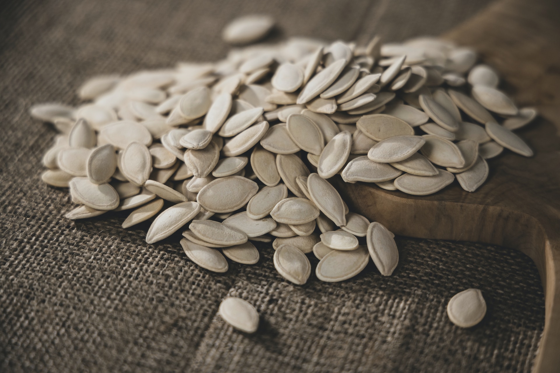 17-facts-about-pumpkin-seed