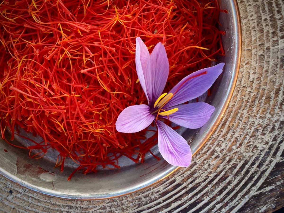 17-facts-about-saffron