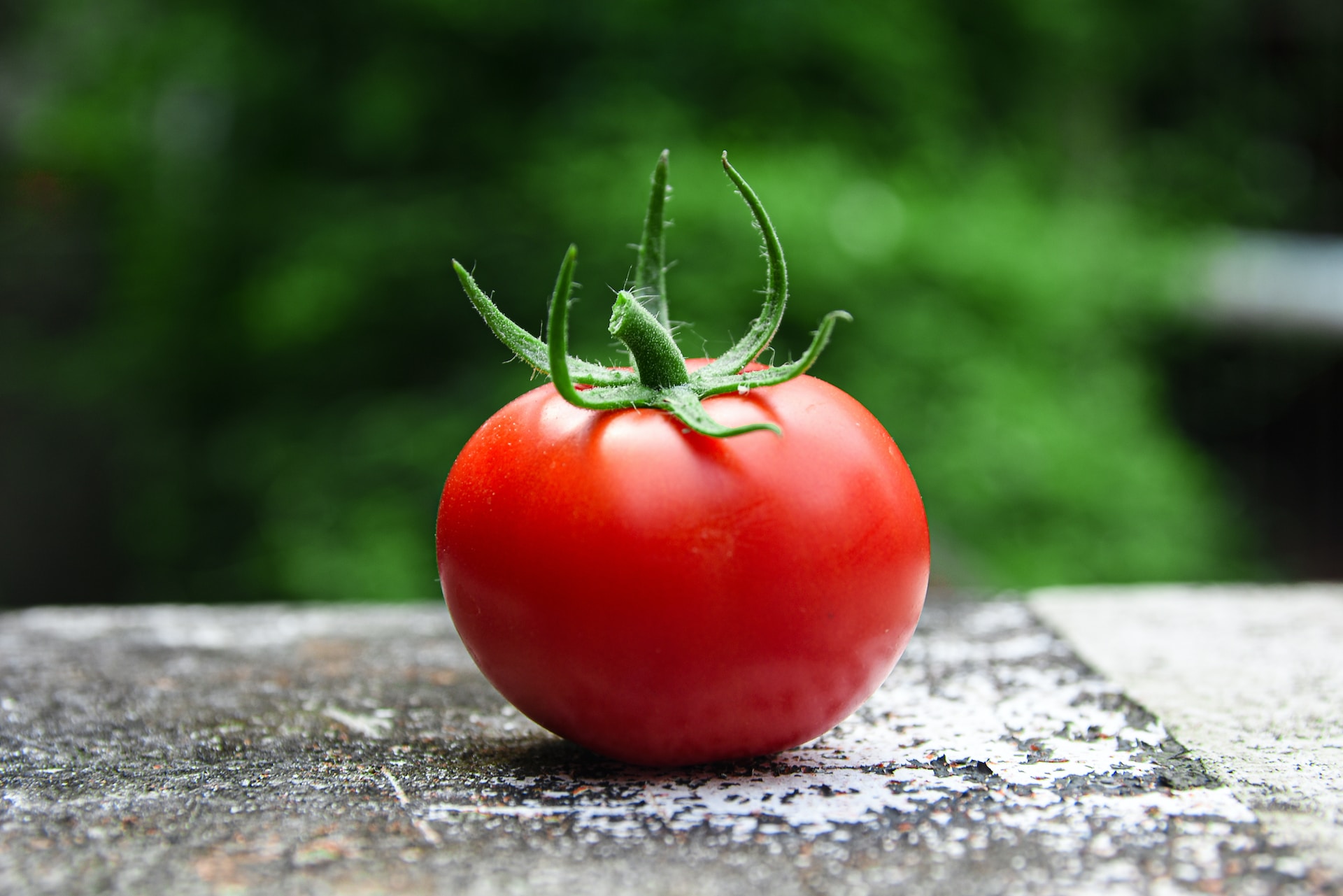 17 Facts About Tomato 