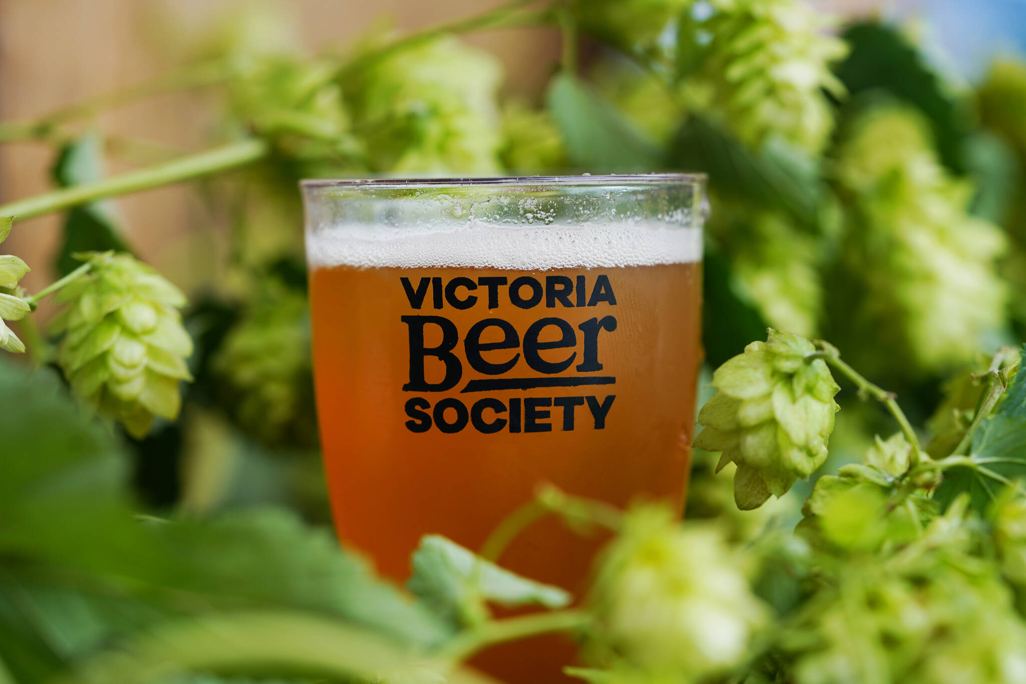17-facts-about-victoria-beer-week