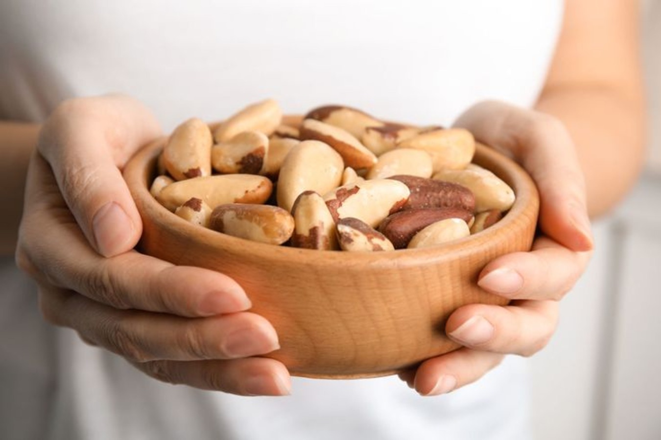 18-facts-about-brazil-nut