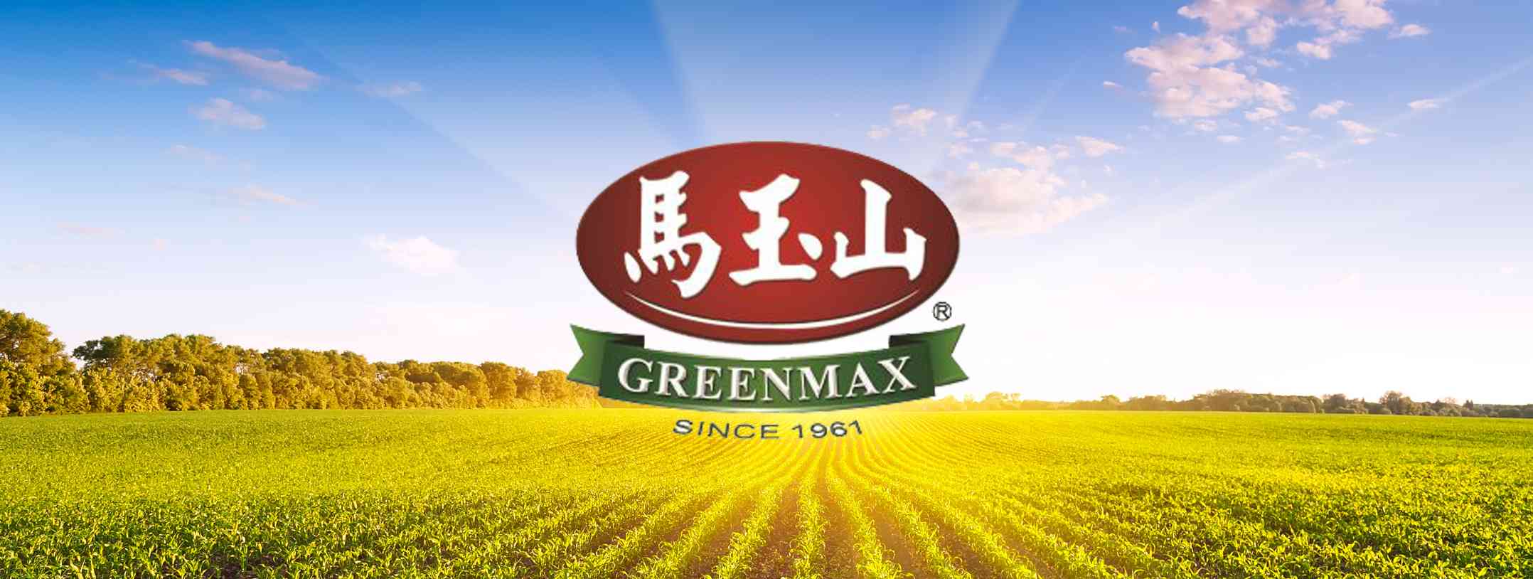 18-facts-about-greenmax