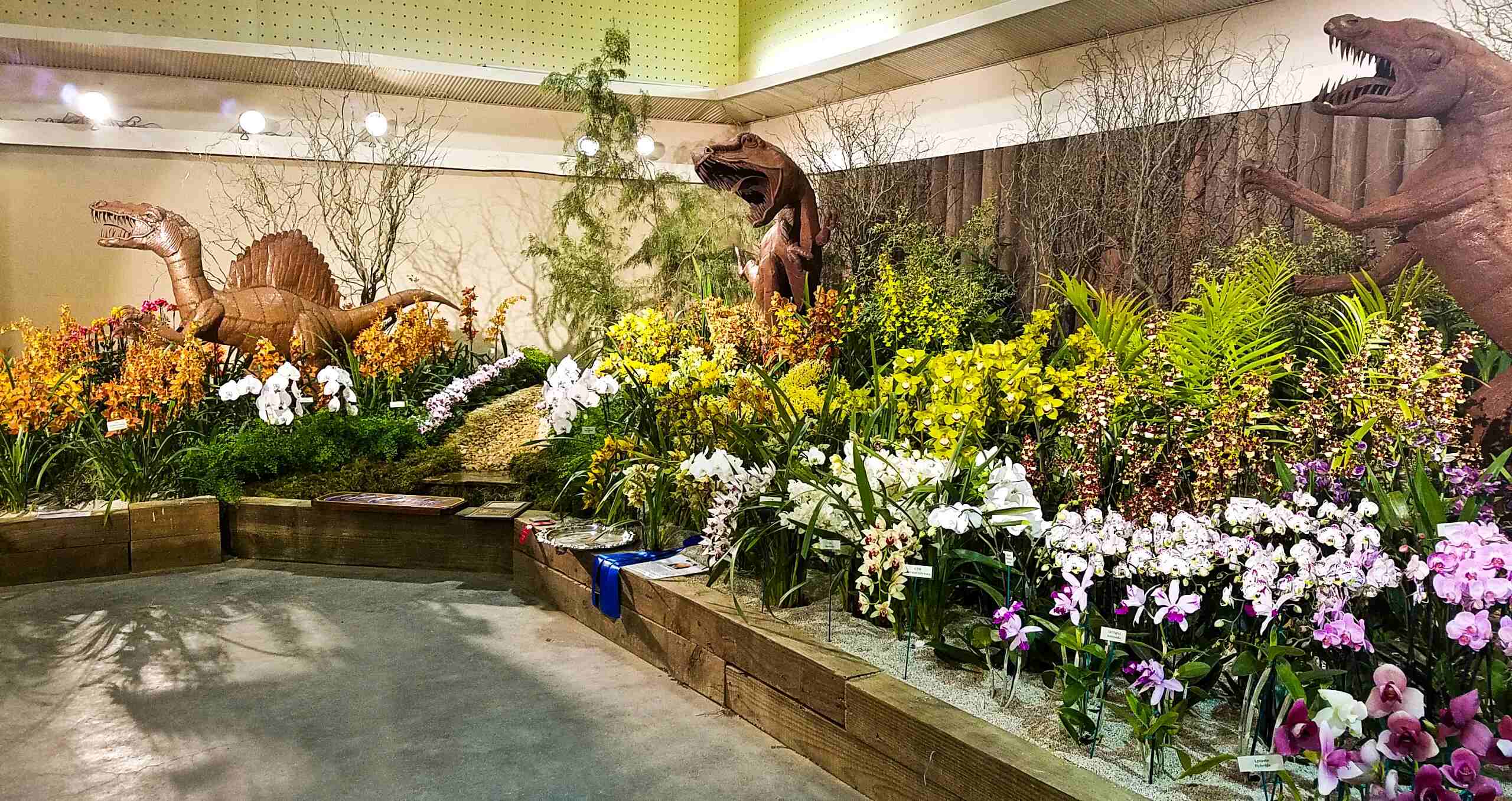 18-facts-about-international-orchid-show
