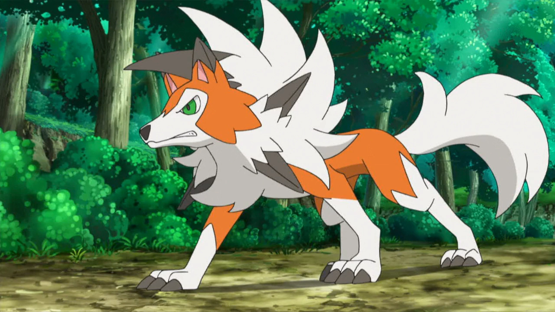 18-facts-about-lycanroc