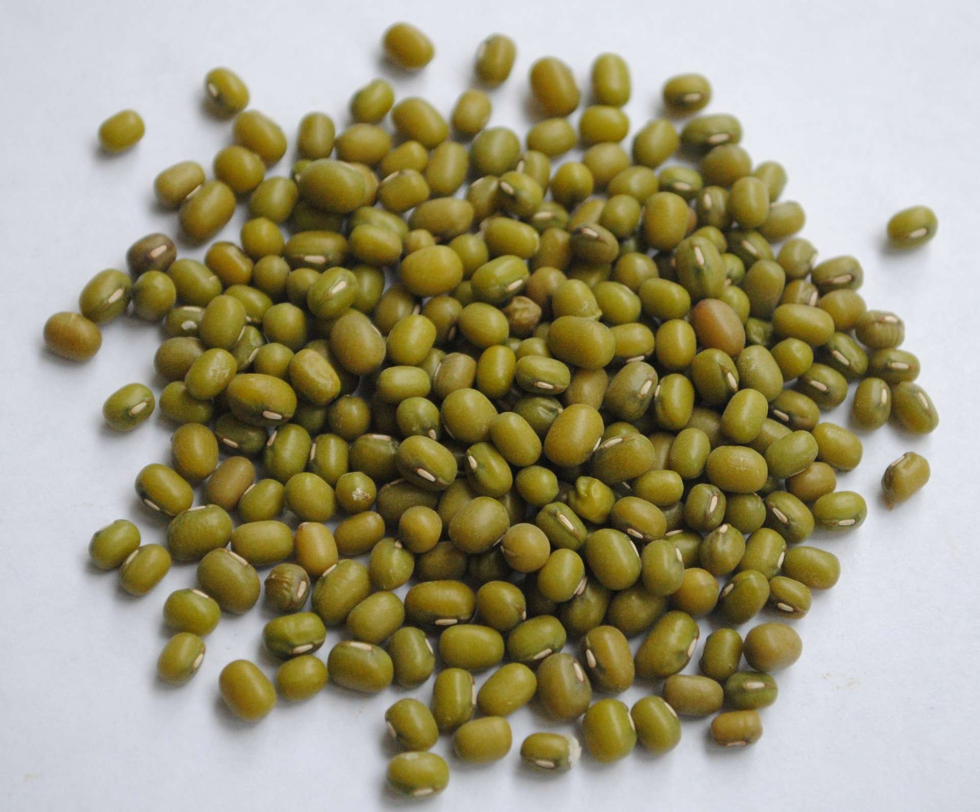18-facts-about-mung-beans