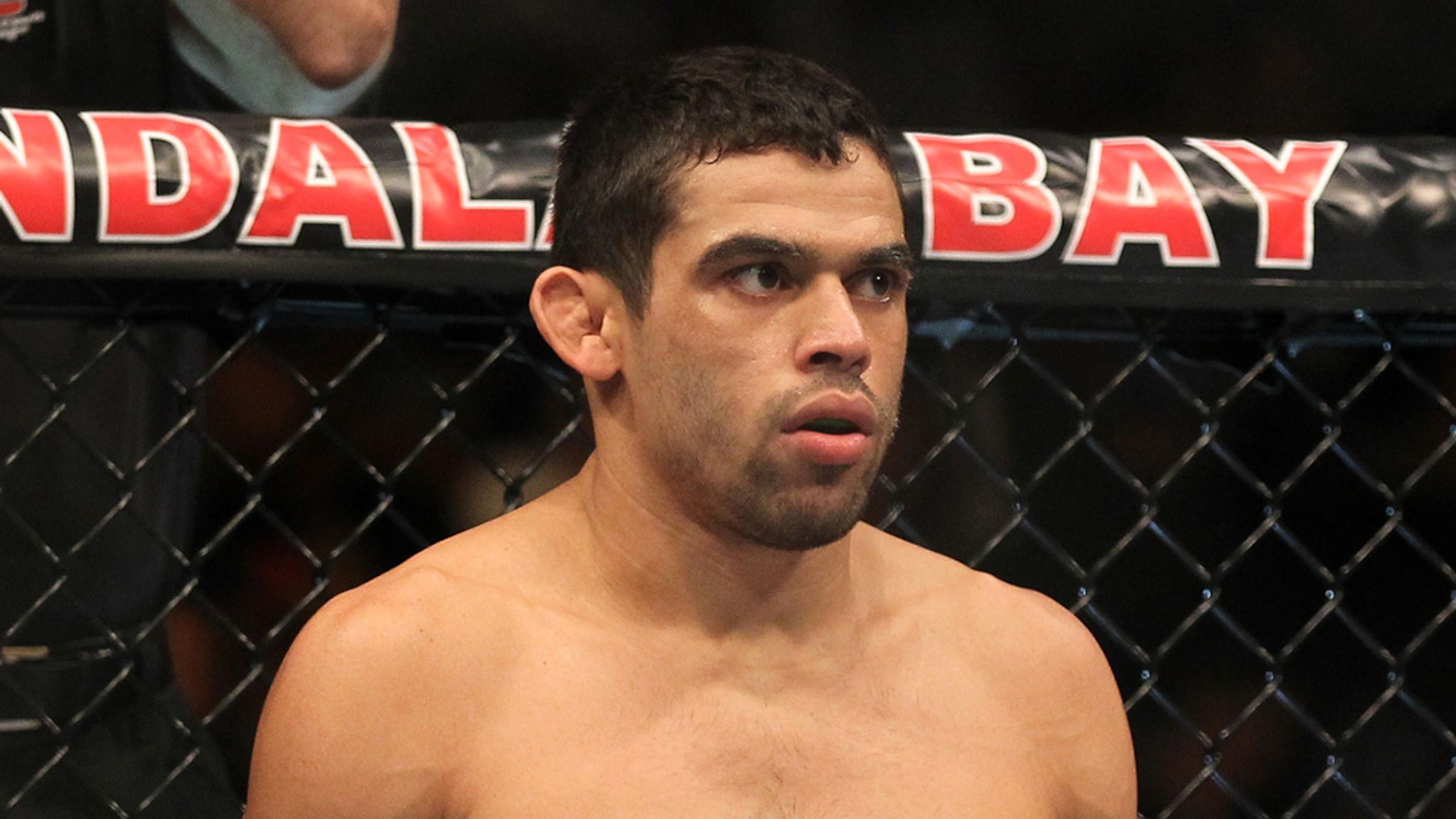 18-facts-about-renan-barao