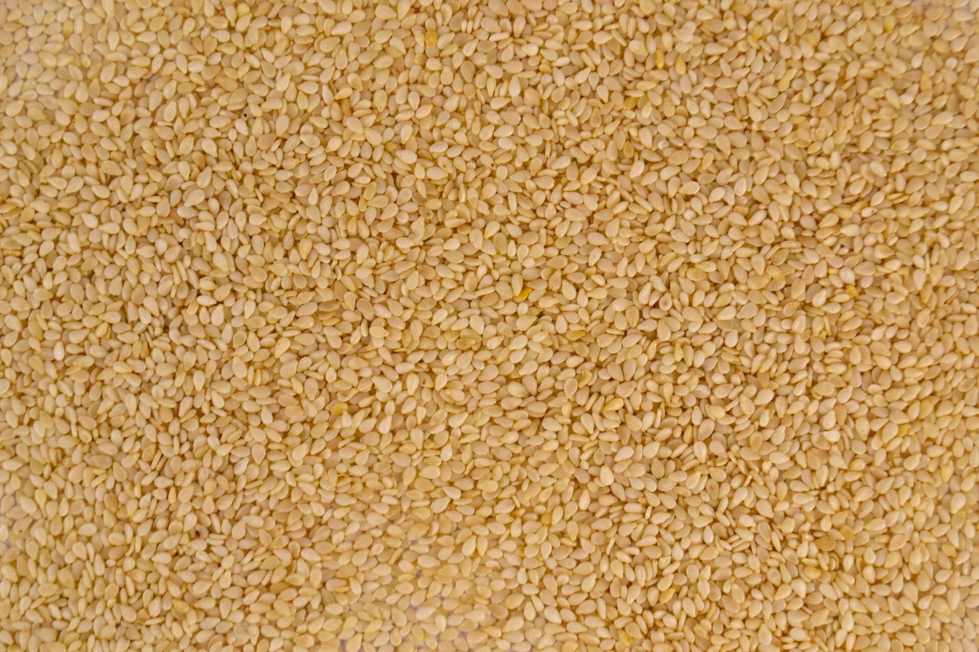 18 Facts About Sesame Seed - Facts.net