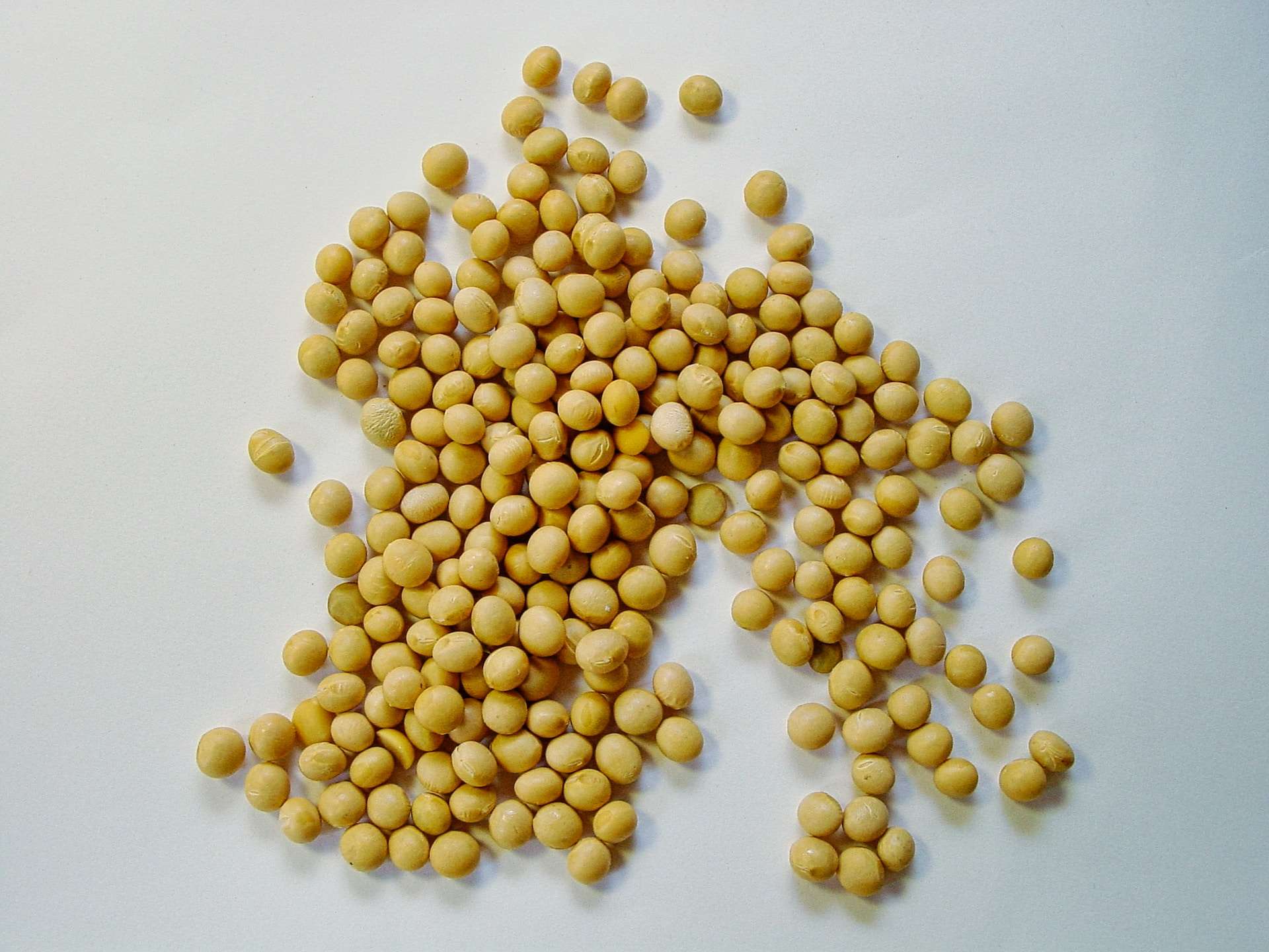 18-facts-about-soy-beans