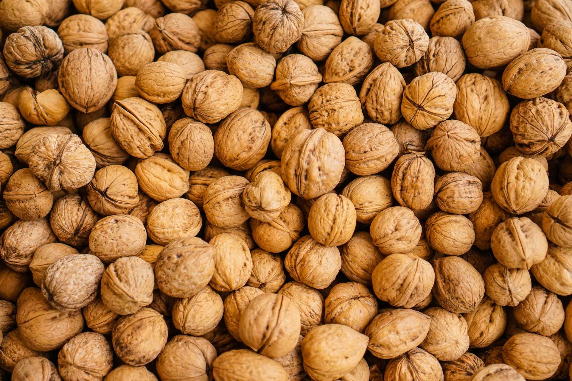 18-facts-about-walnut