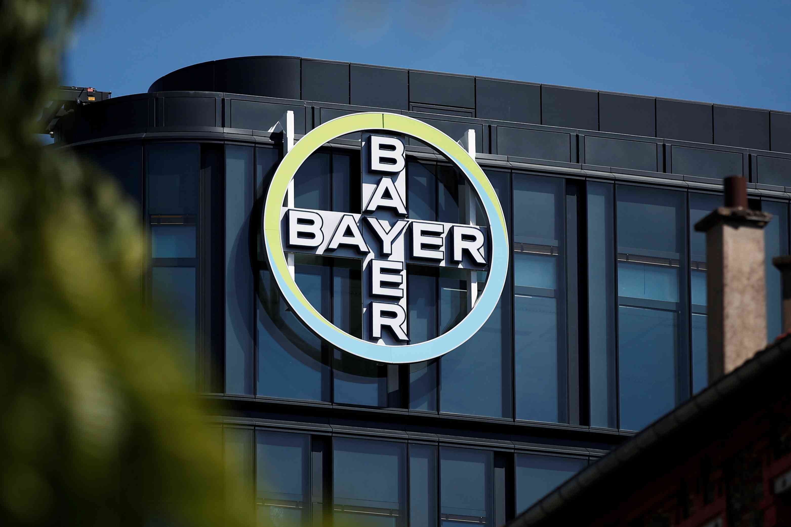 19-facts-about-bayer