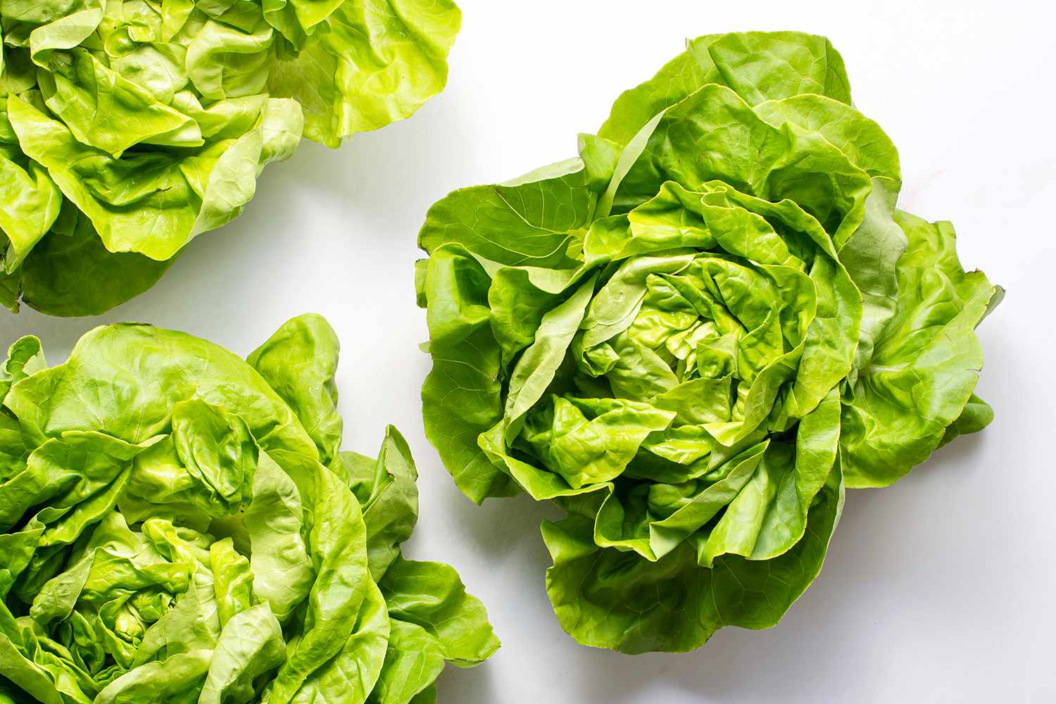 19-facts-about-butternut-lettuce