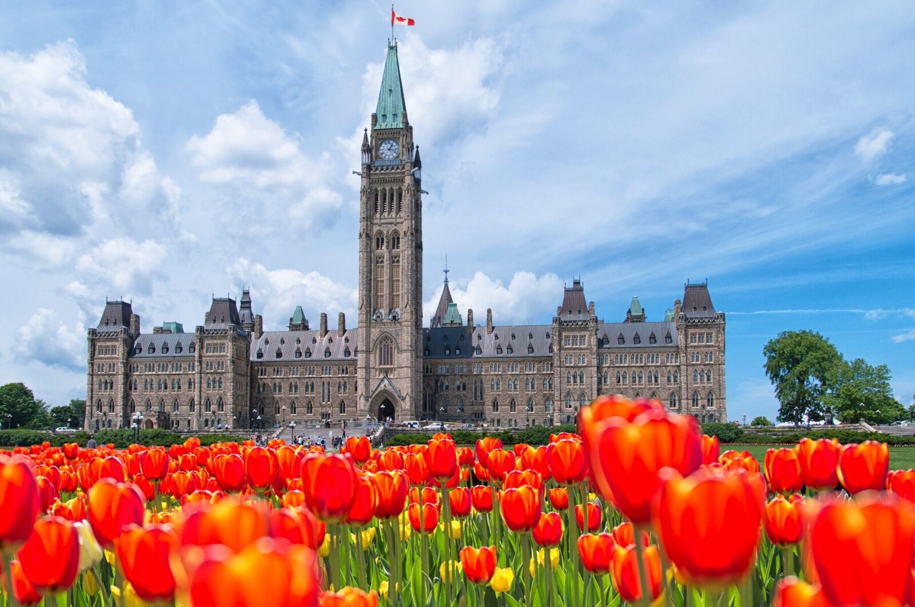19-facts-about-canadian-tulip-festival
