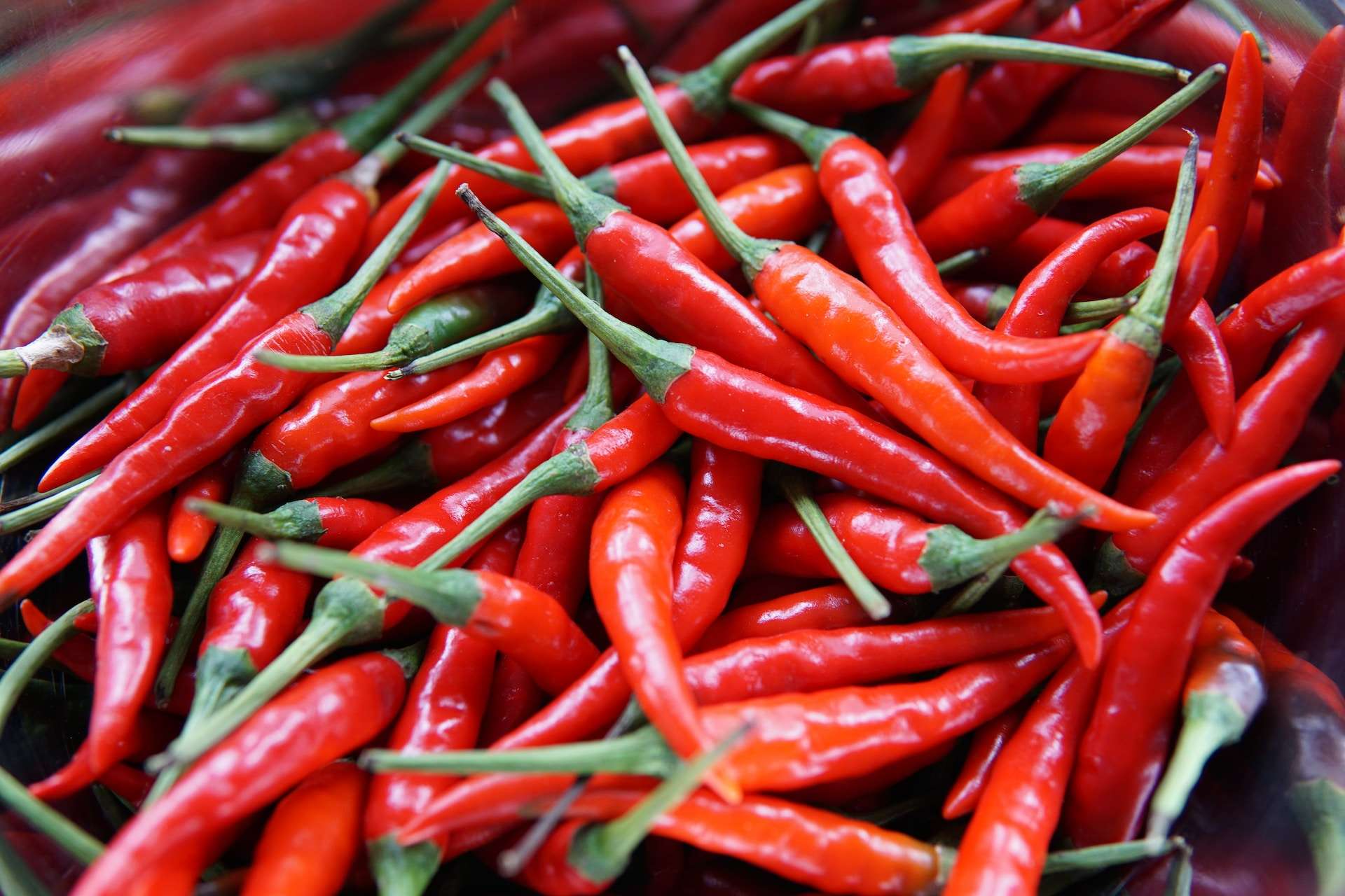 19-facts-about-chilli-pepper