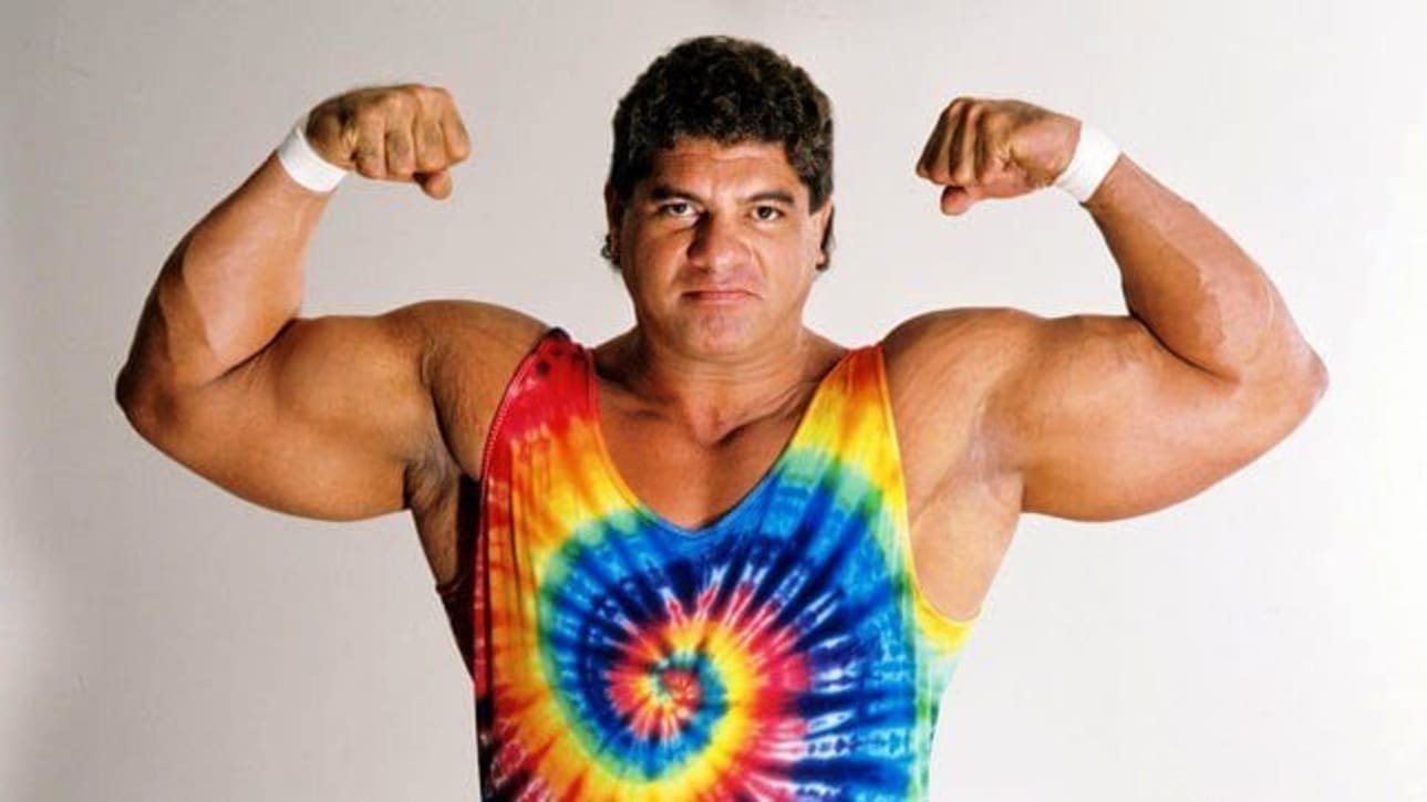 19-facts-about-don-muraco