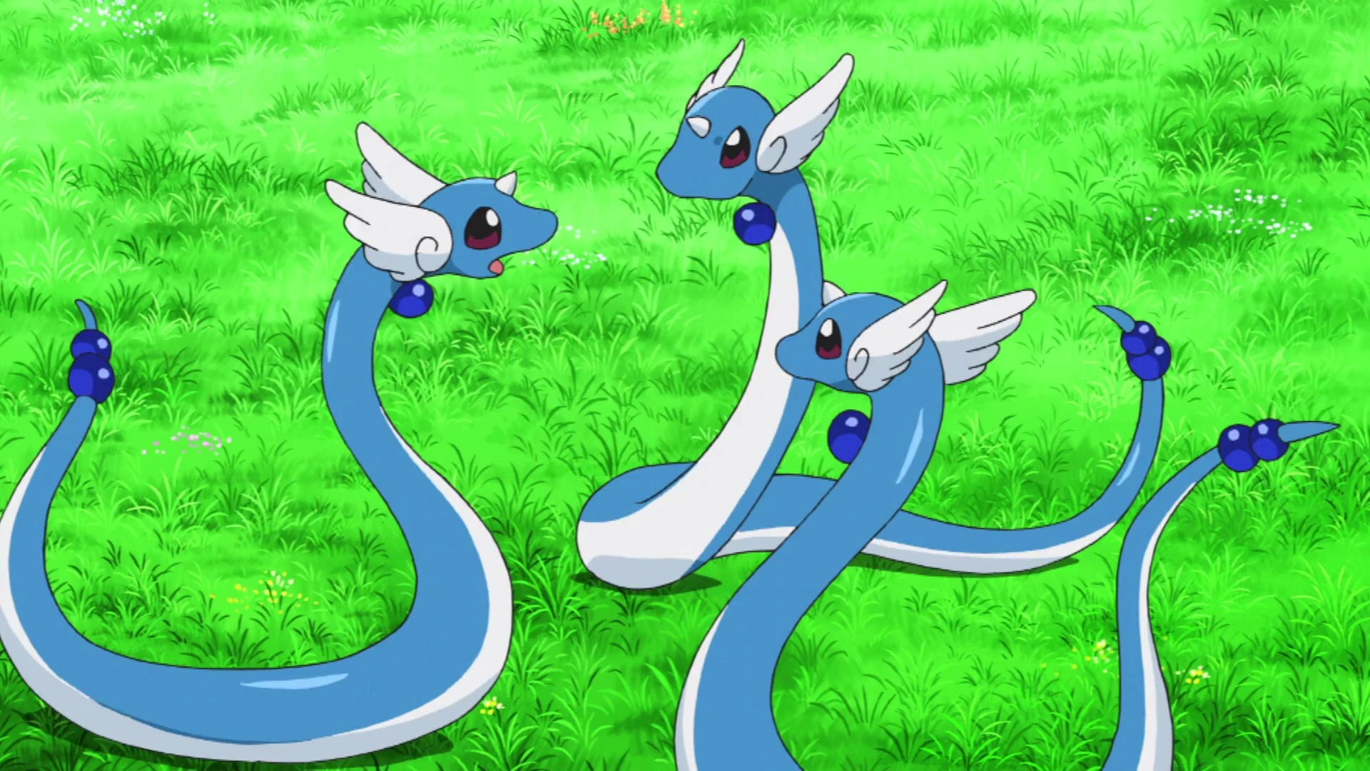 19-facts-about-dragonair