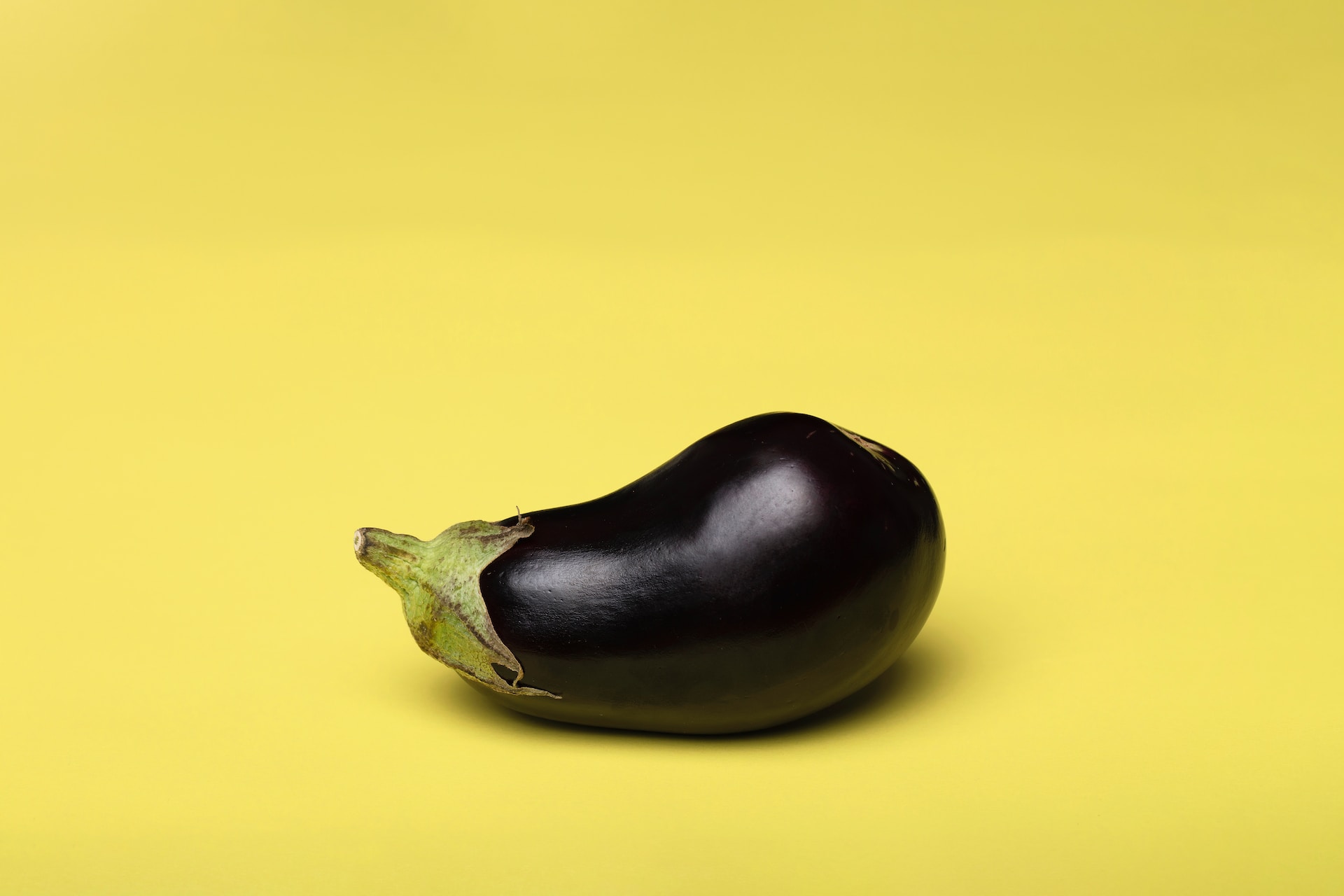 19 Facts About Eggplant - Facts.net