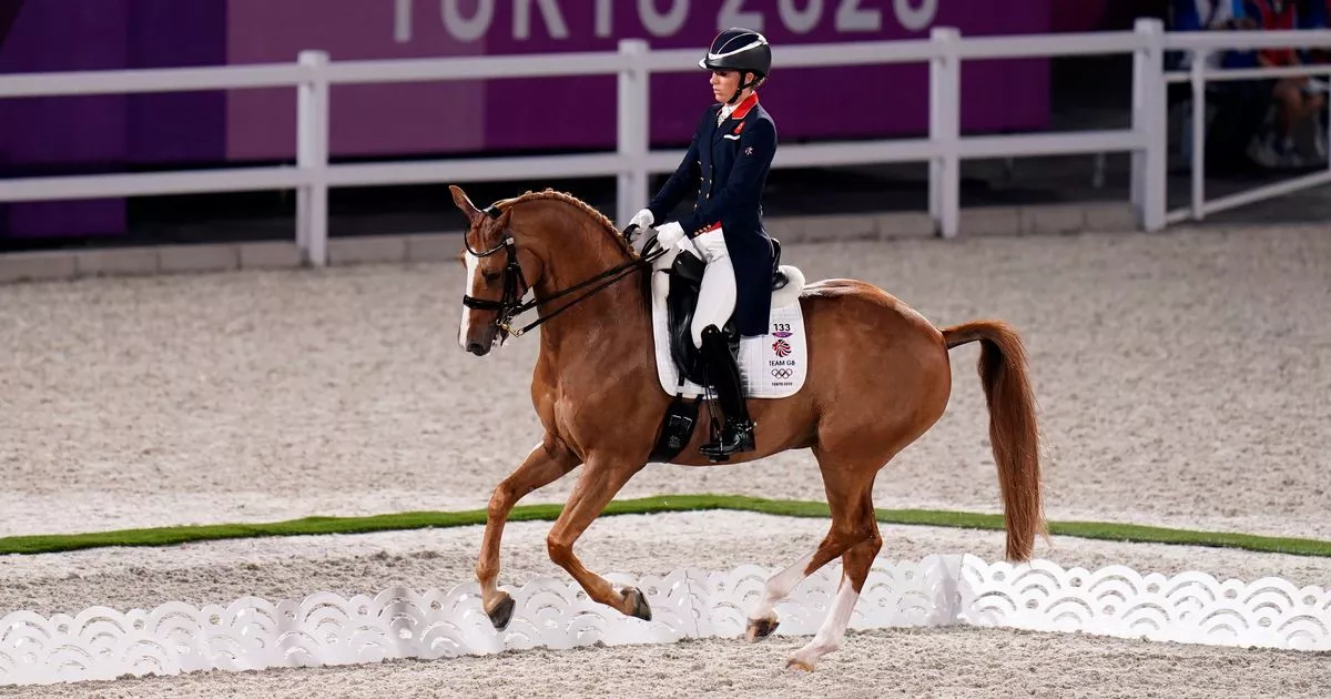19-facts-about-equestrian-dressage