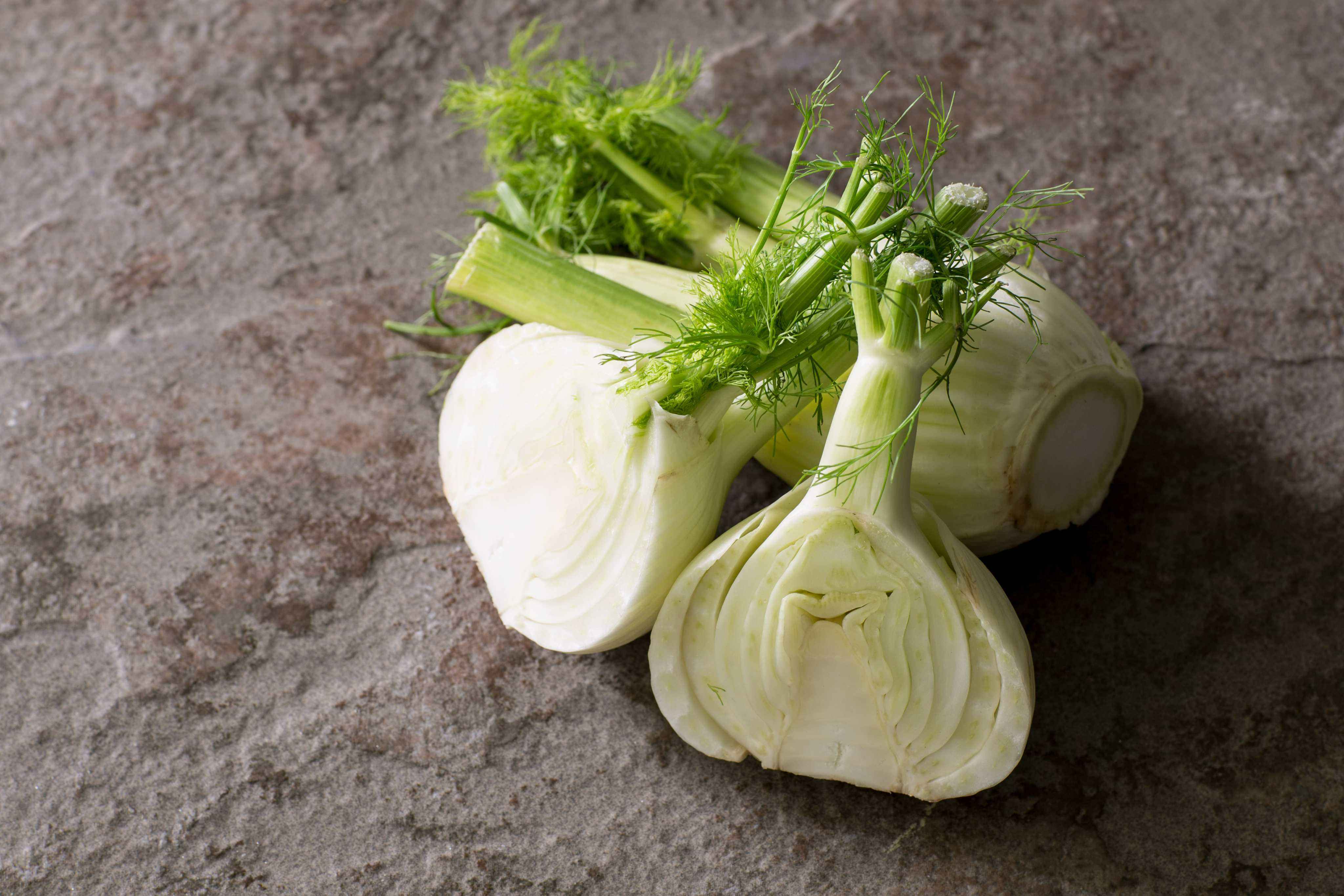 19-facts-about-fennel