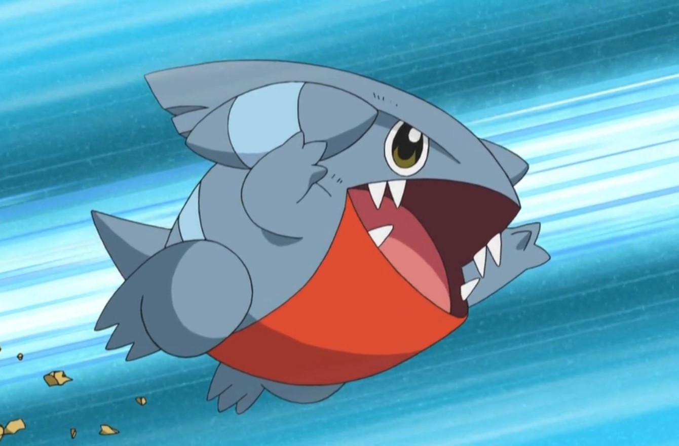 19-facts-about-gible