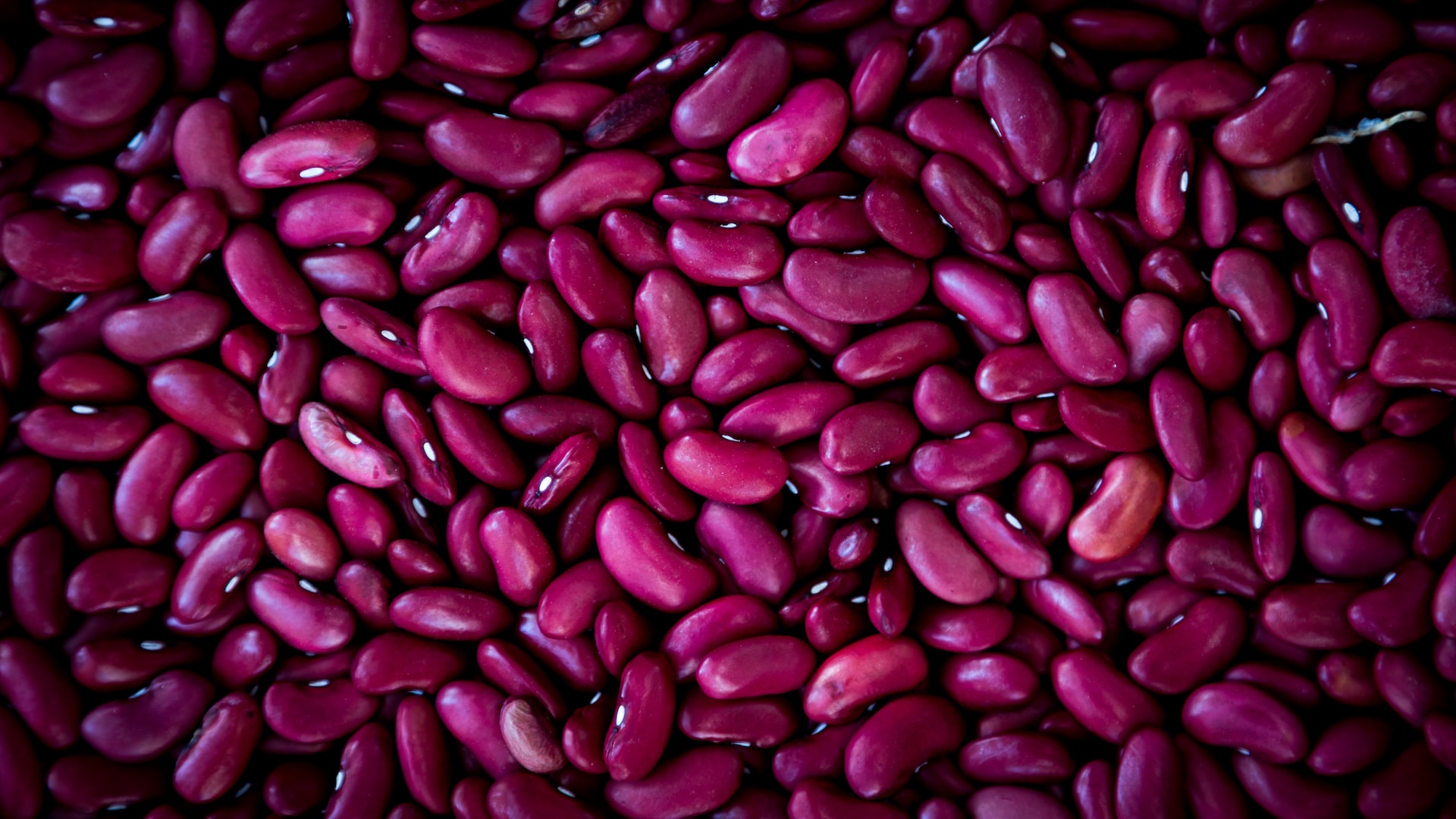 19-facts-about-kidney-beans