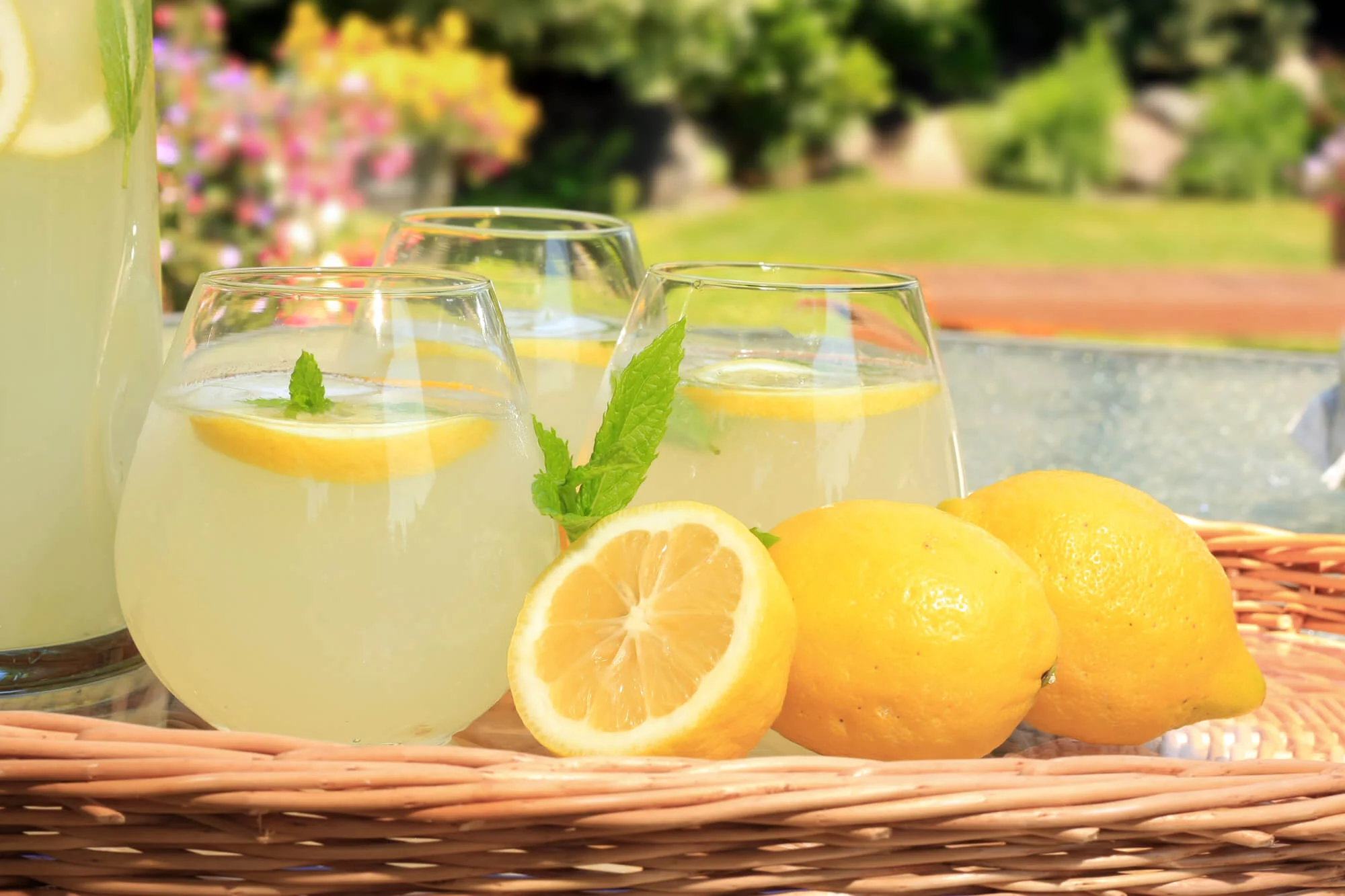 19-facts-about-national-lemonade-day