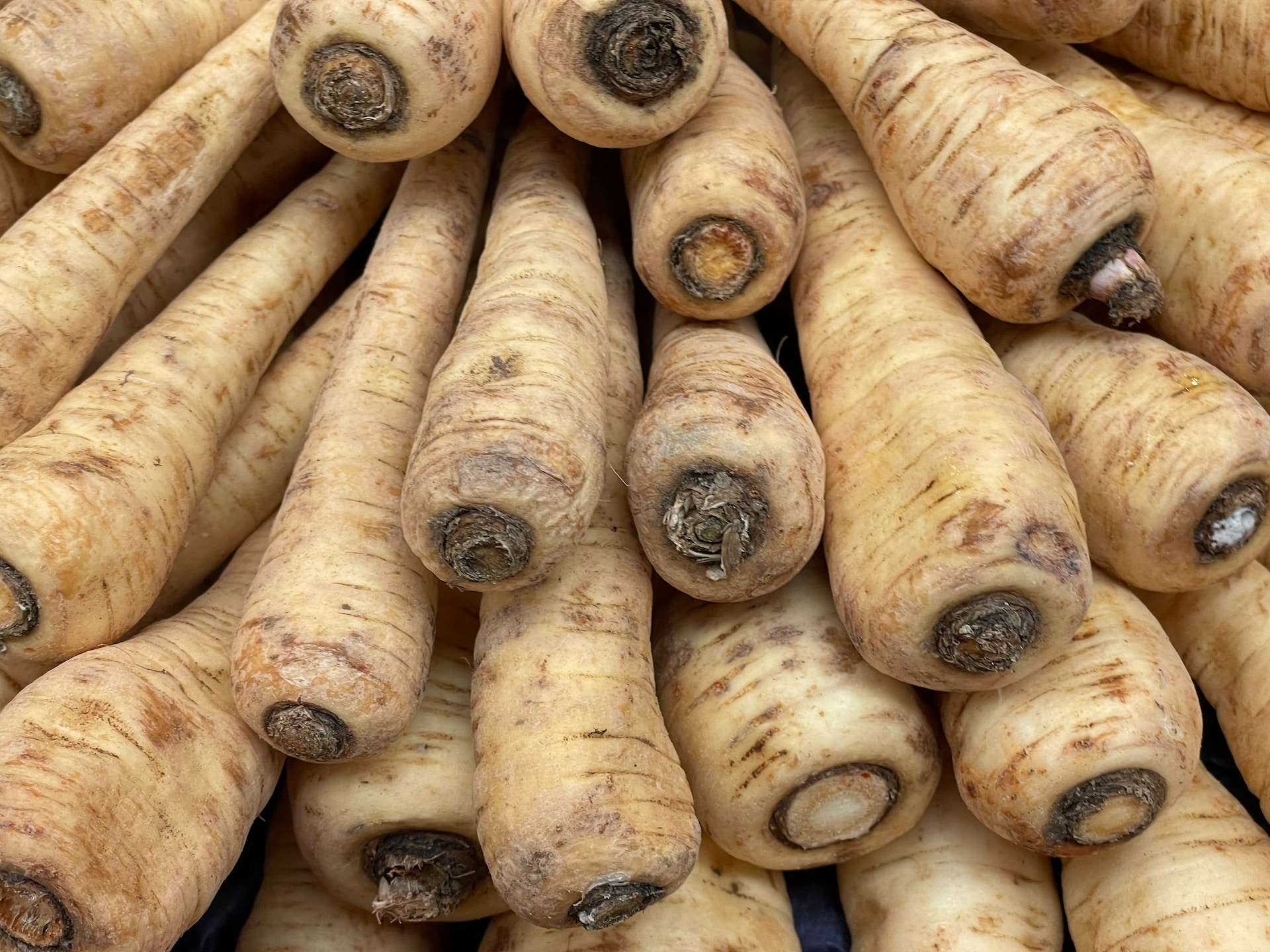 19-facts-about-parsnip