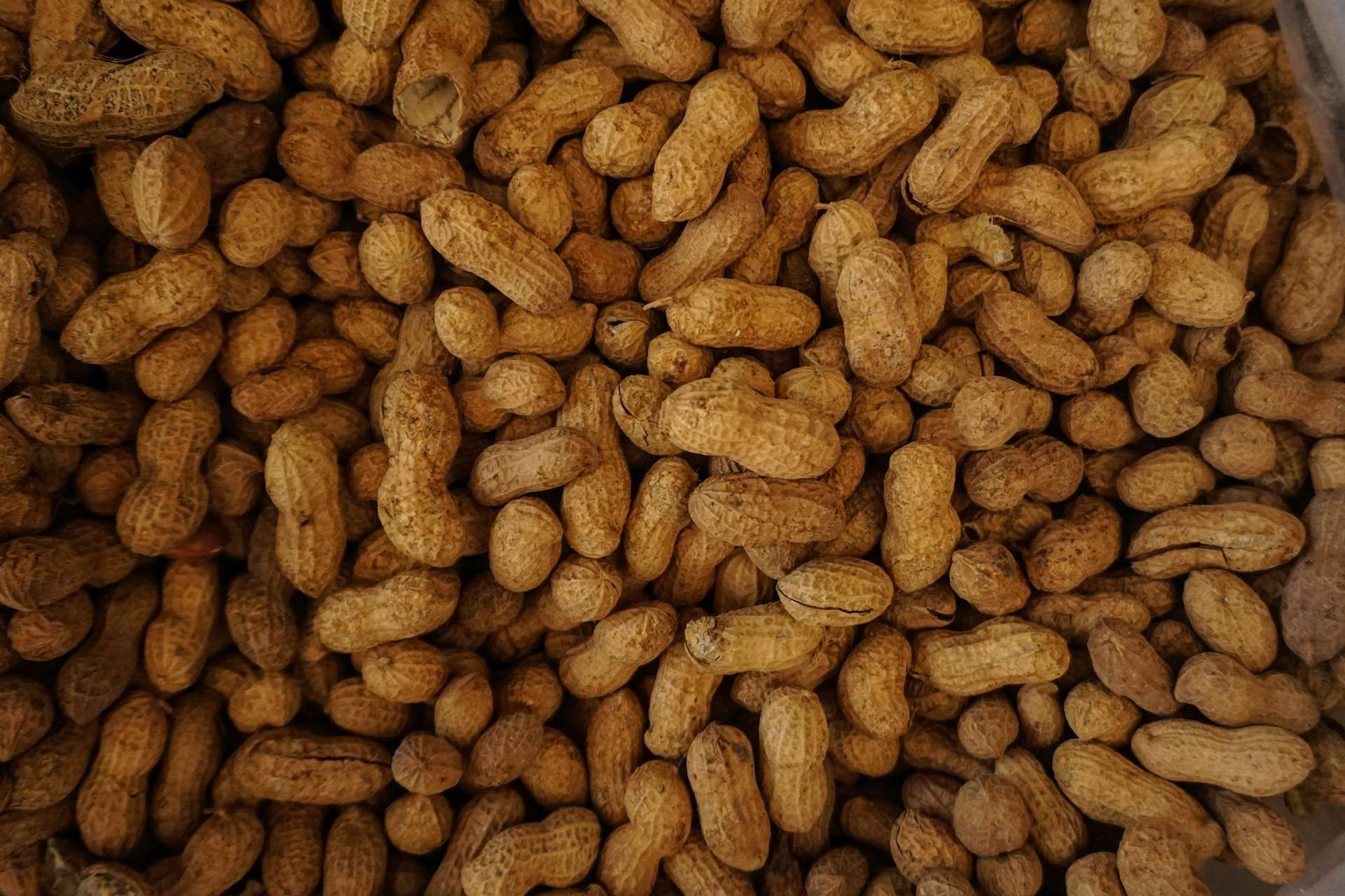 19-facts-about-peanuts
