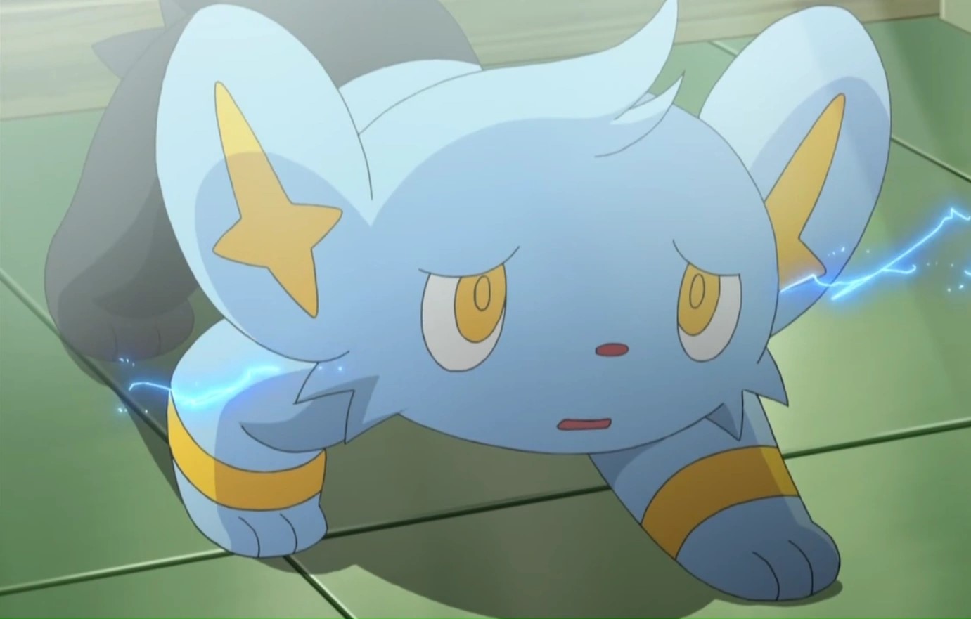 19-facts-about-shinx