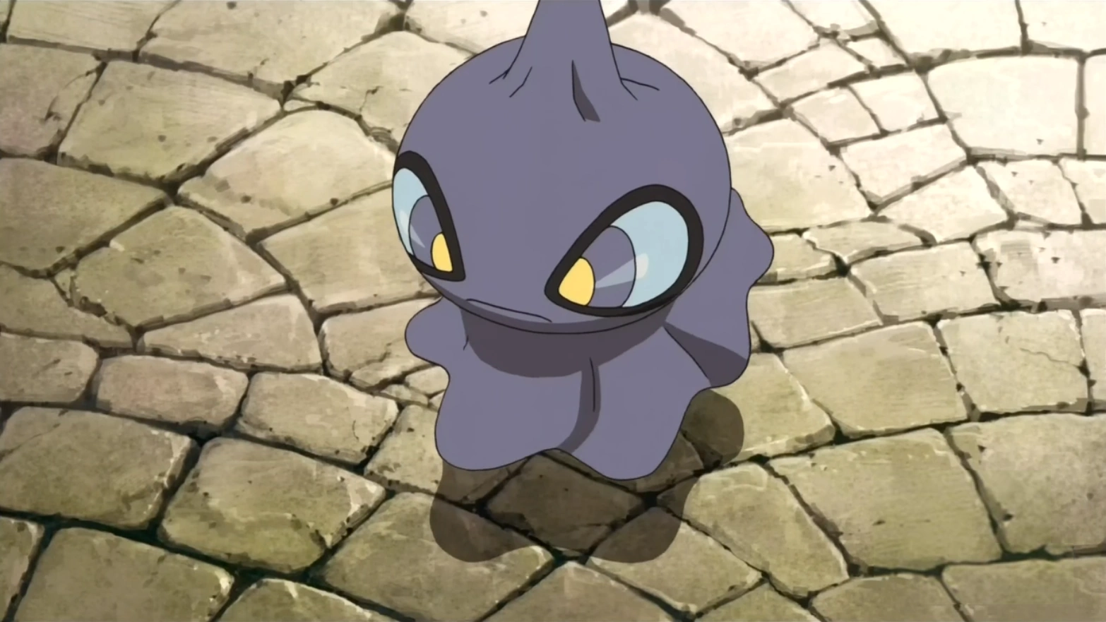 19-facts-about-shuppet