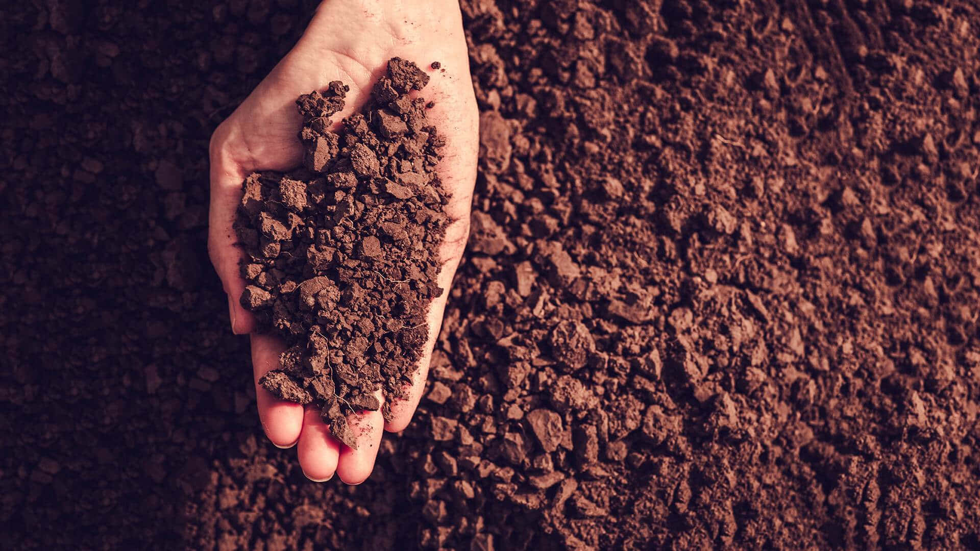 19-facts-about-soil